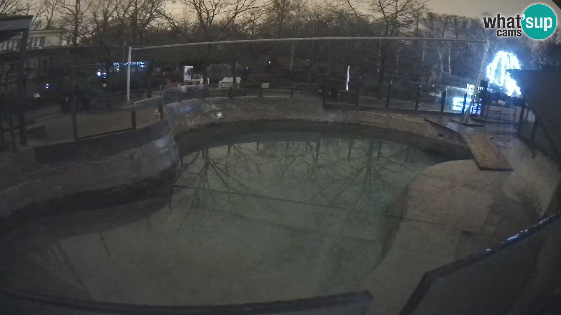 Zoo Zagreb – Kalifornijski morski lav