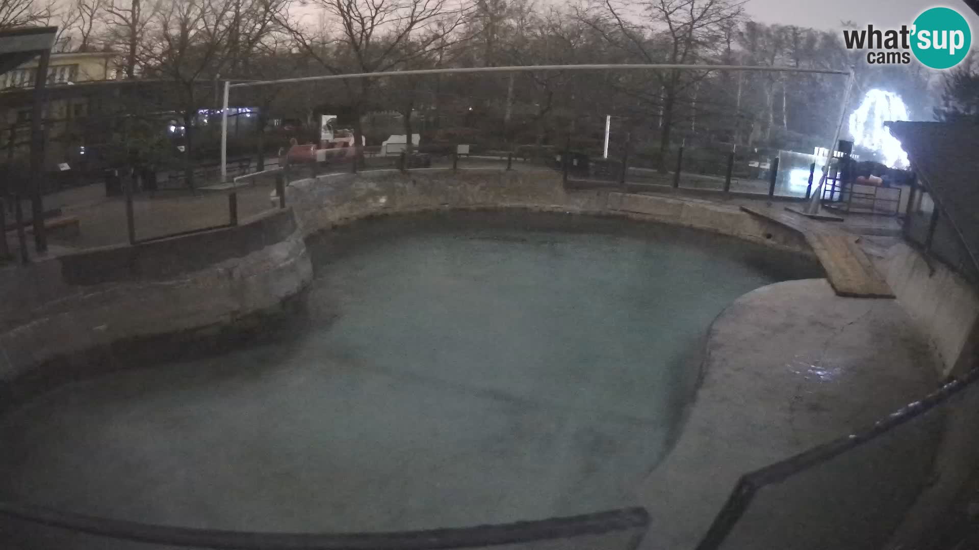 Zoo Zagreb –  León marino de California