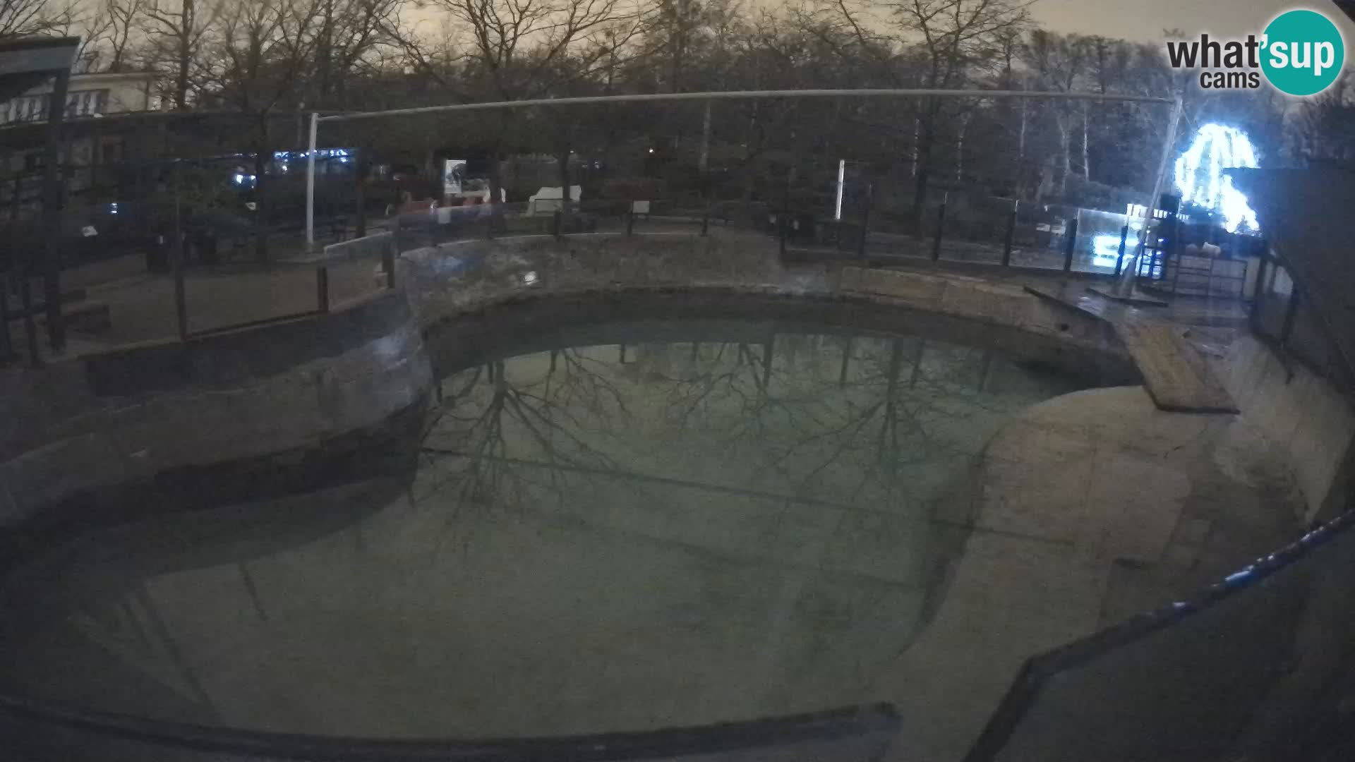 Zoo Zagreb –  León marino de California