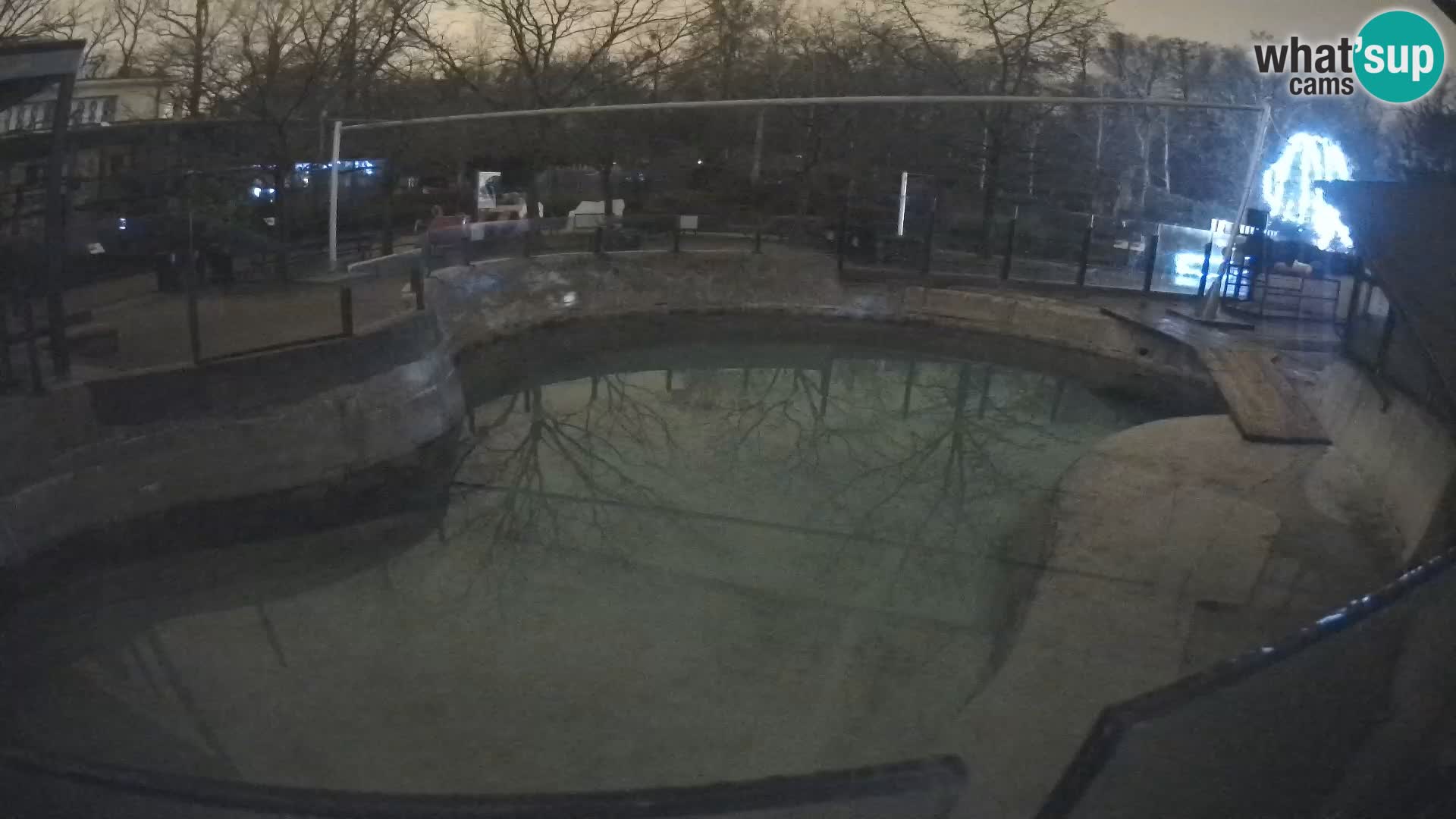 Zoo Zagreb – Kalifornijski morski lav