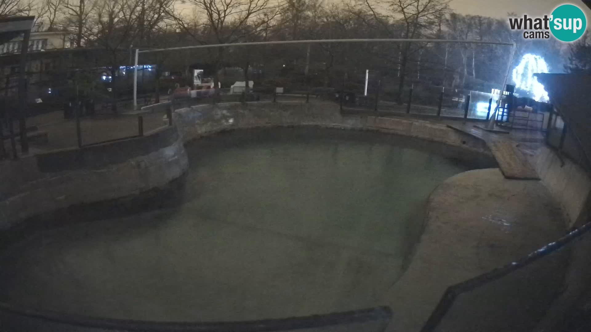 Zoo Zagreb – Kalifornijski morski lav