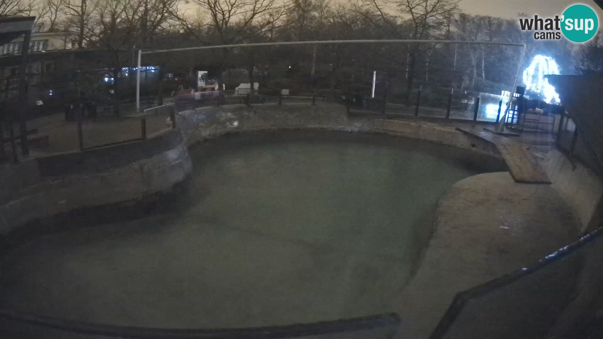 Zoo Zagreb – Otarie de Californie