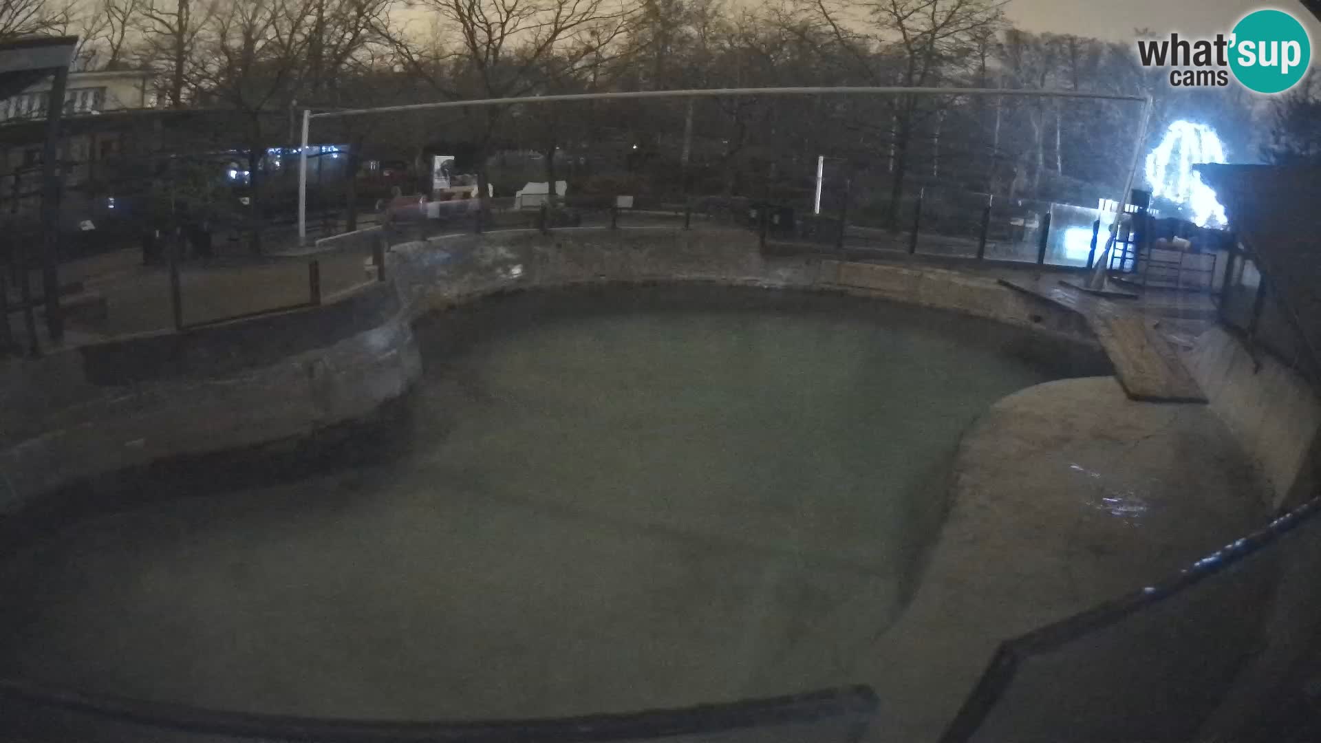 Zoo Zagreb – Otarie de Californie