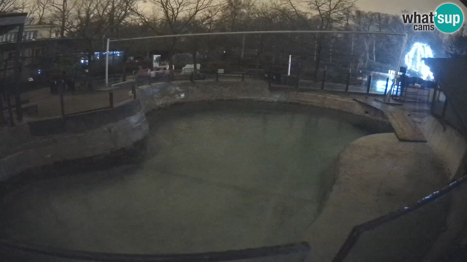 Zoo Zagreb – Otarie de Californie