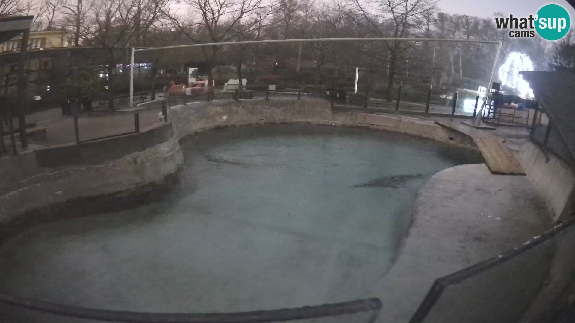 Zoo Zagreb – Kalifornijski morski lav