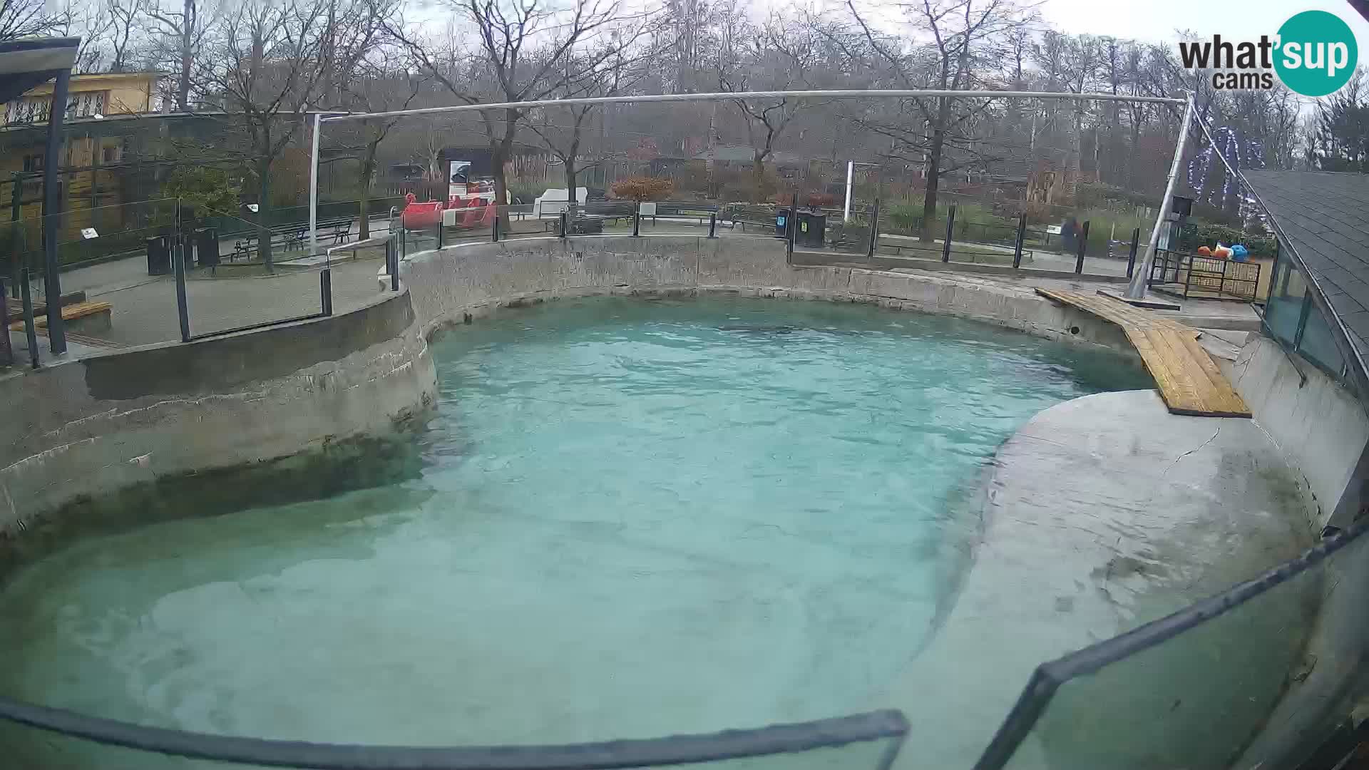 Zoo Zagreb – Otarie de Californie