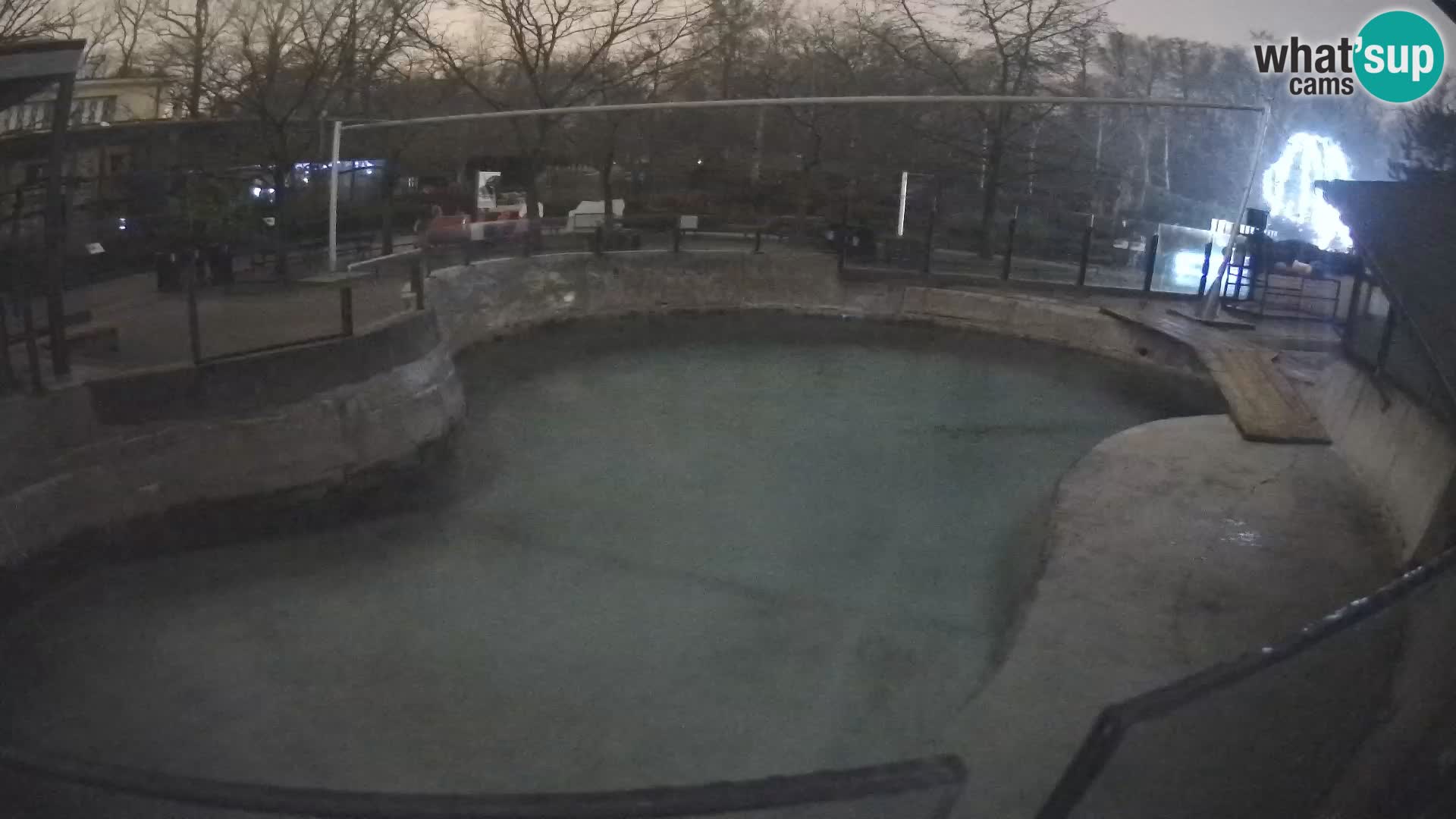 Zoo Zagreb – Otarie de Californie