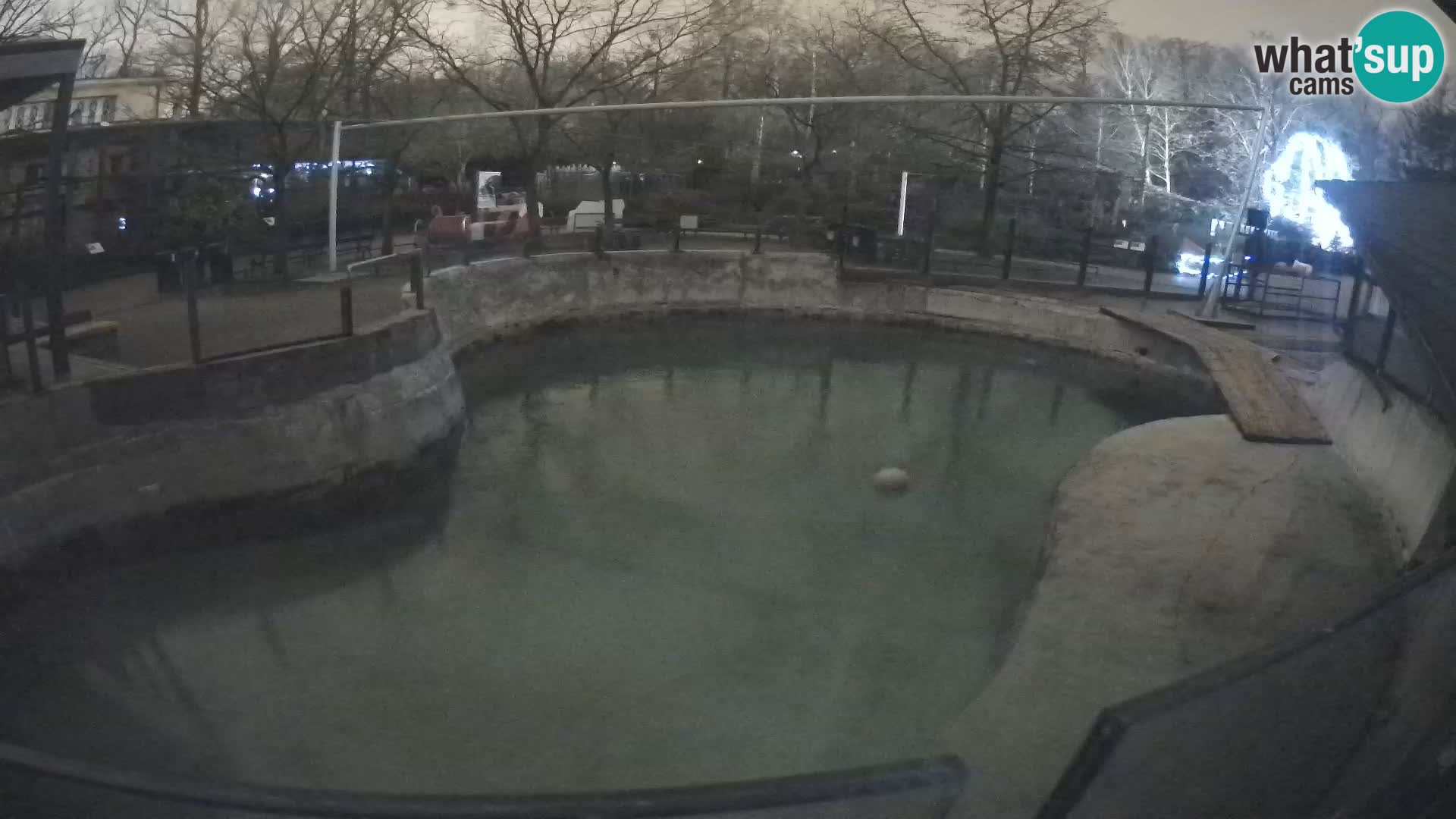 Zoo Zagreb – Otarie de Californie