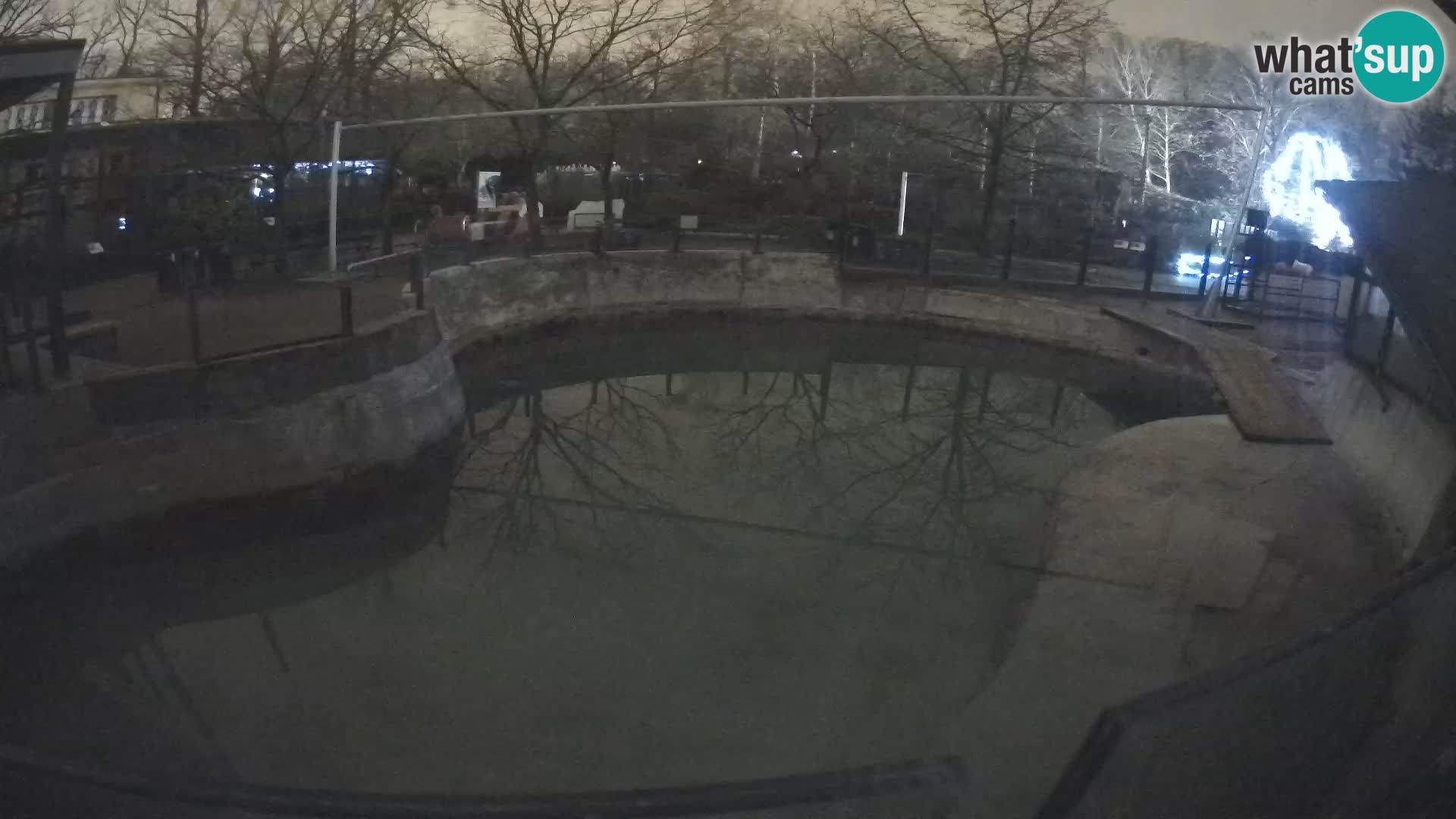 Zoo Zagreb – Kalifornijski morski lav