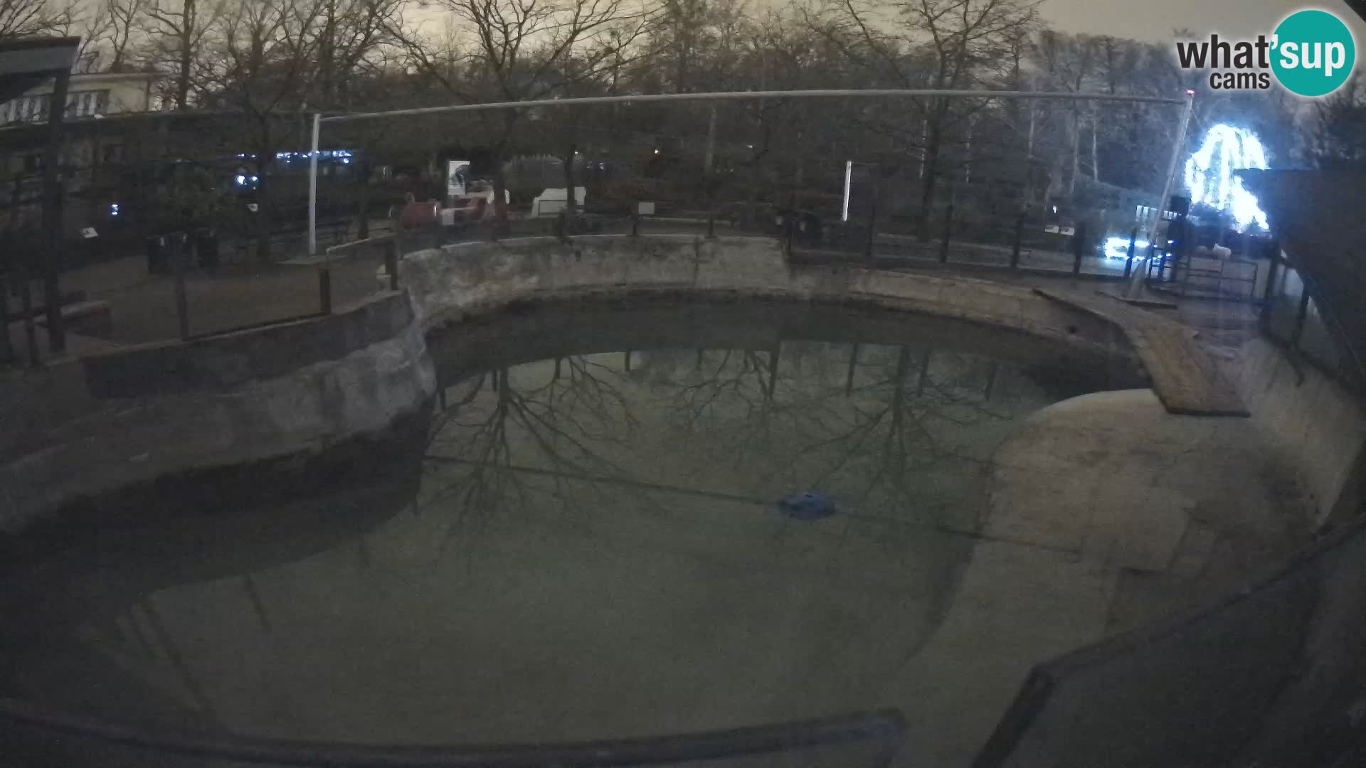 Zoo Zagreb – Kalifornijski morski lav