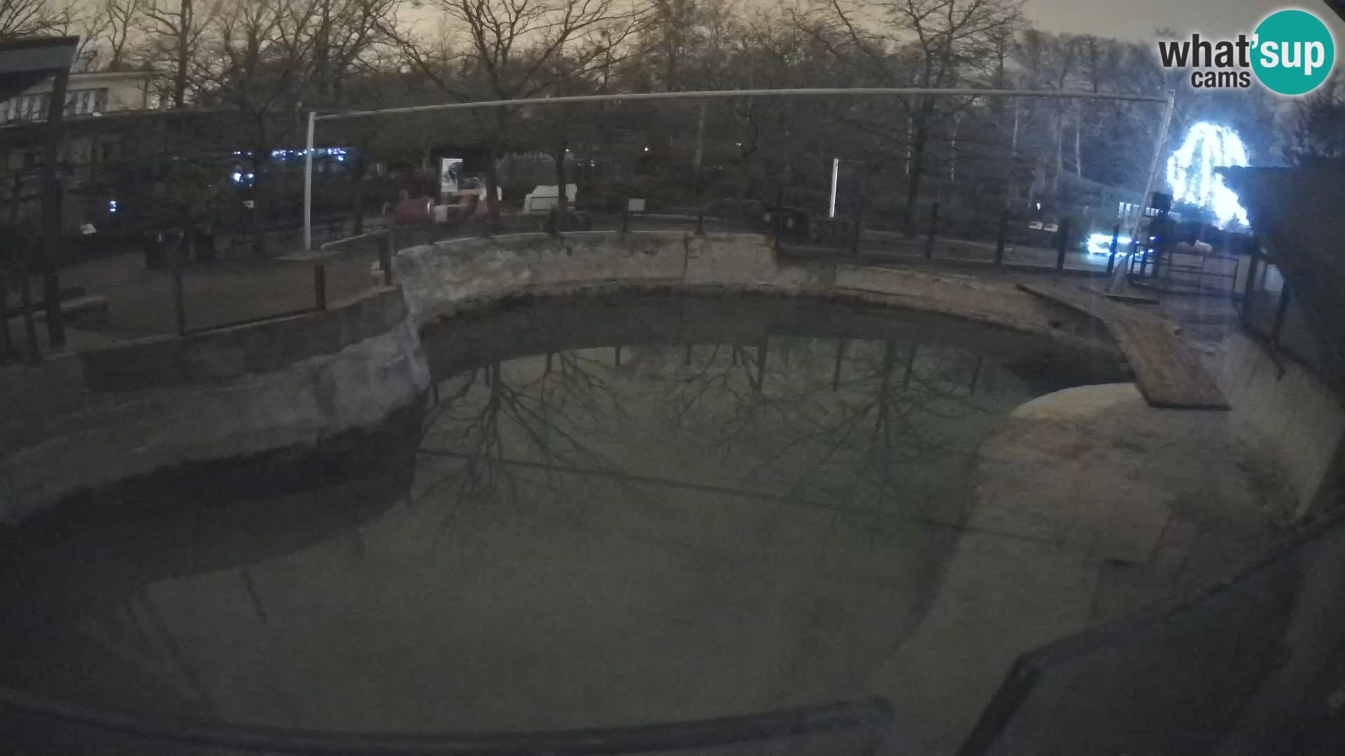 Zoo Zagreb – Kalifornijski morski lav