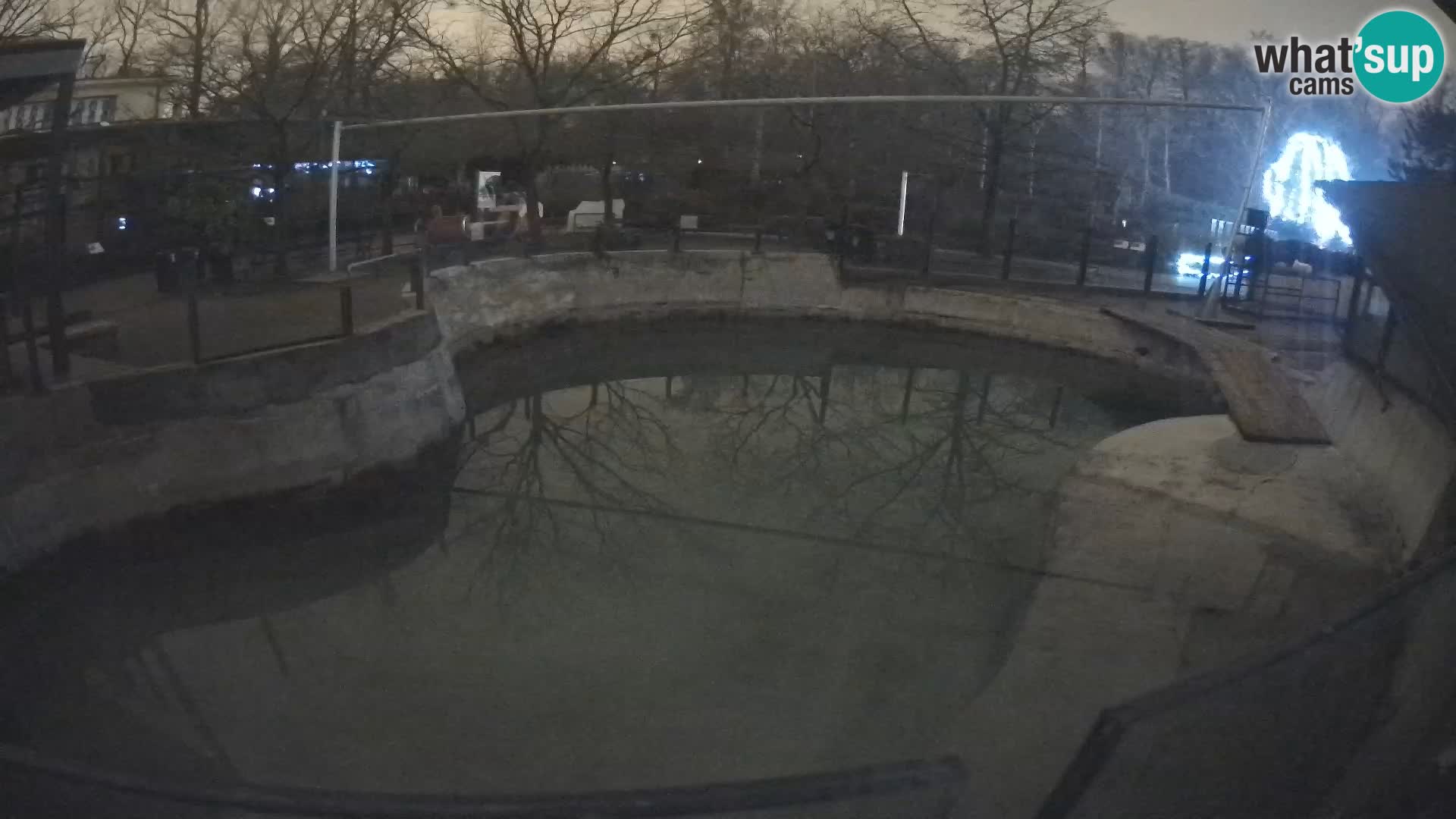 Zoo Zagreb –  León marino de California