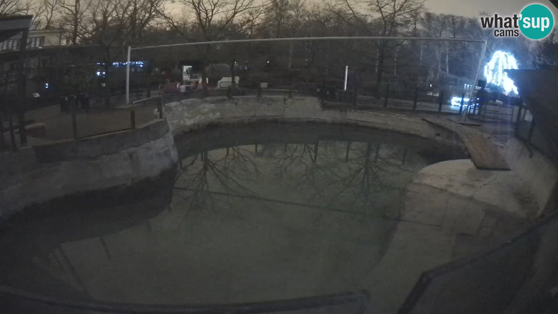 Zoo Zagreb –  León marino de California