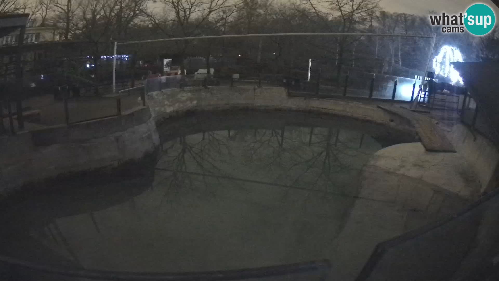 Zoo Zagreb –  León marino de California