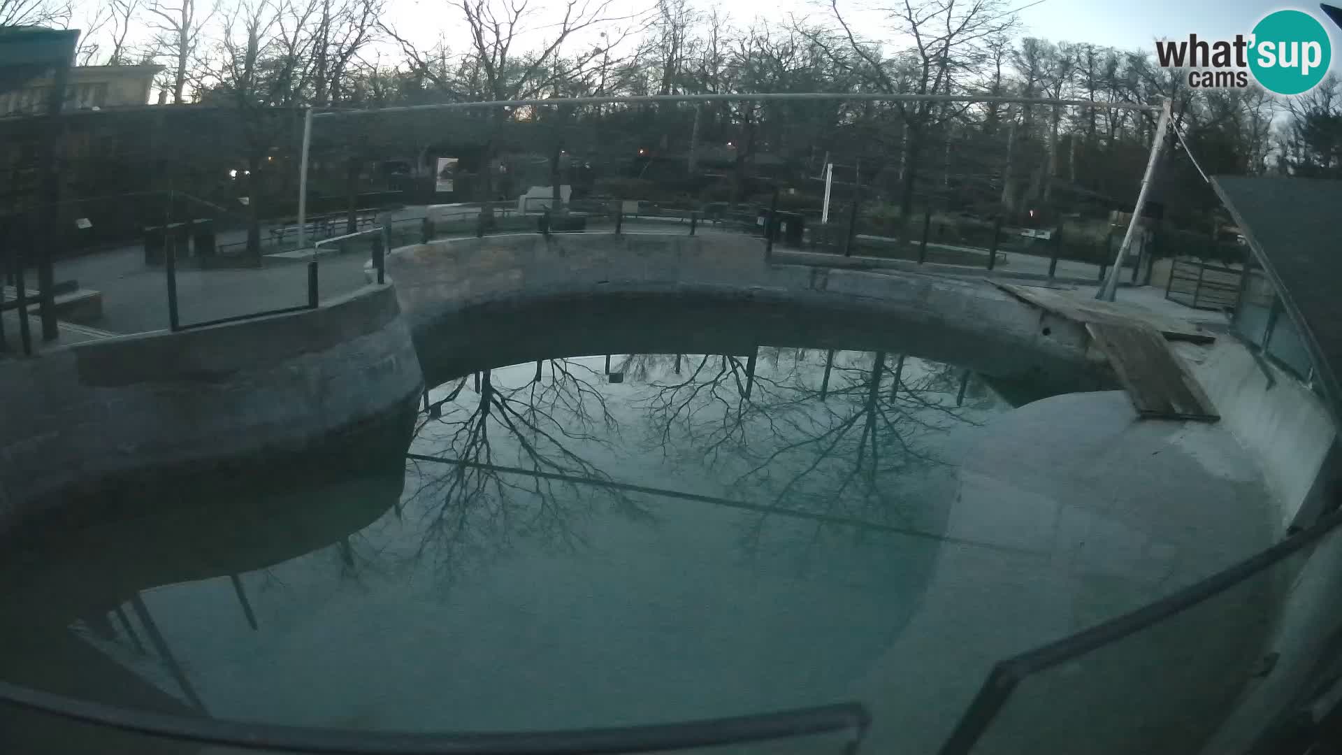 Zoo Zagreb – Kalifornijski morski lav