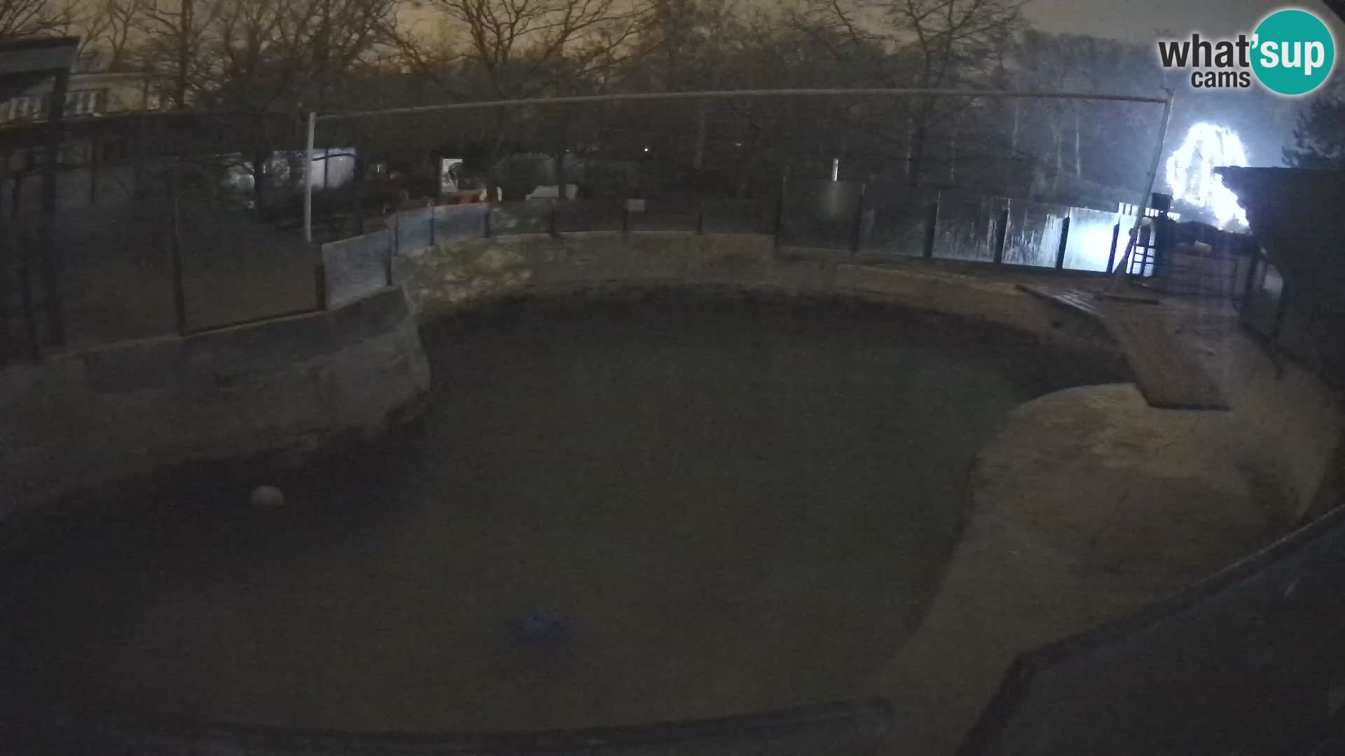 Zoo Zagreb – Otarie de Californie