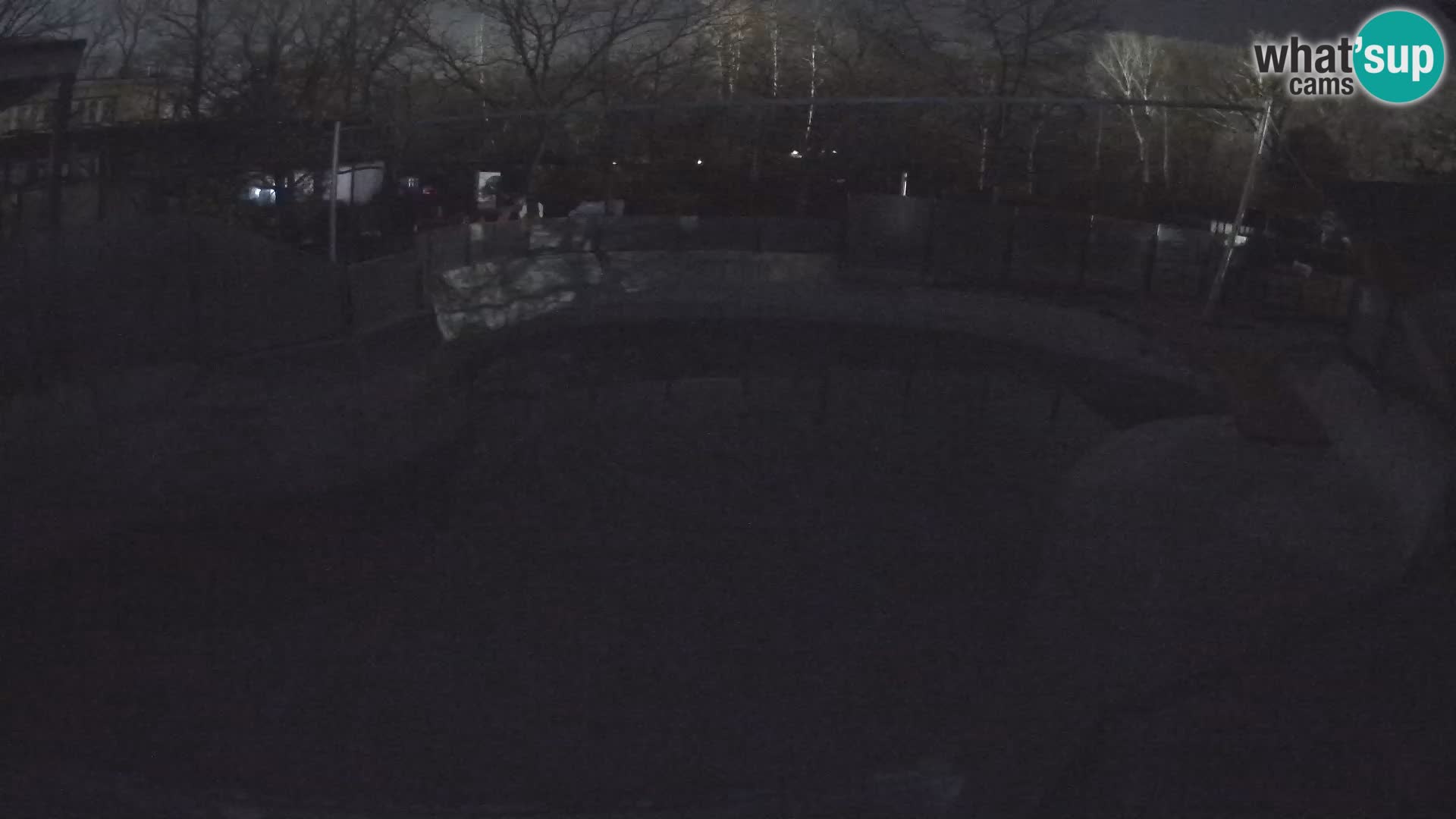 Zoo Zagreb – Kalifornijski morski lav