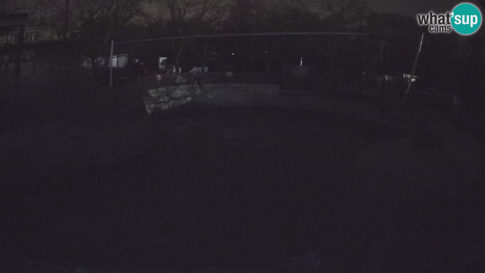 Zoo Zagreb – Kalifornijski morski lav