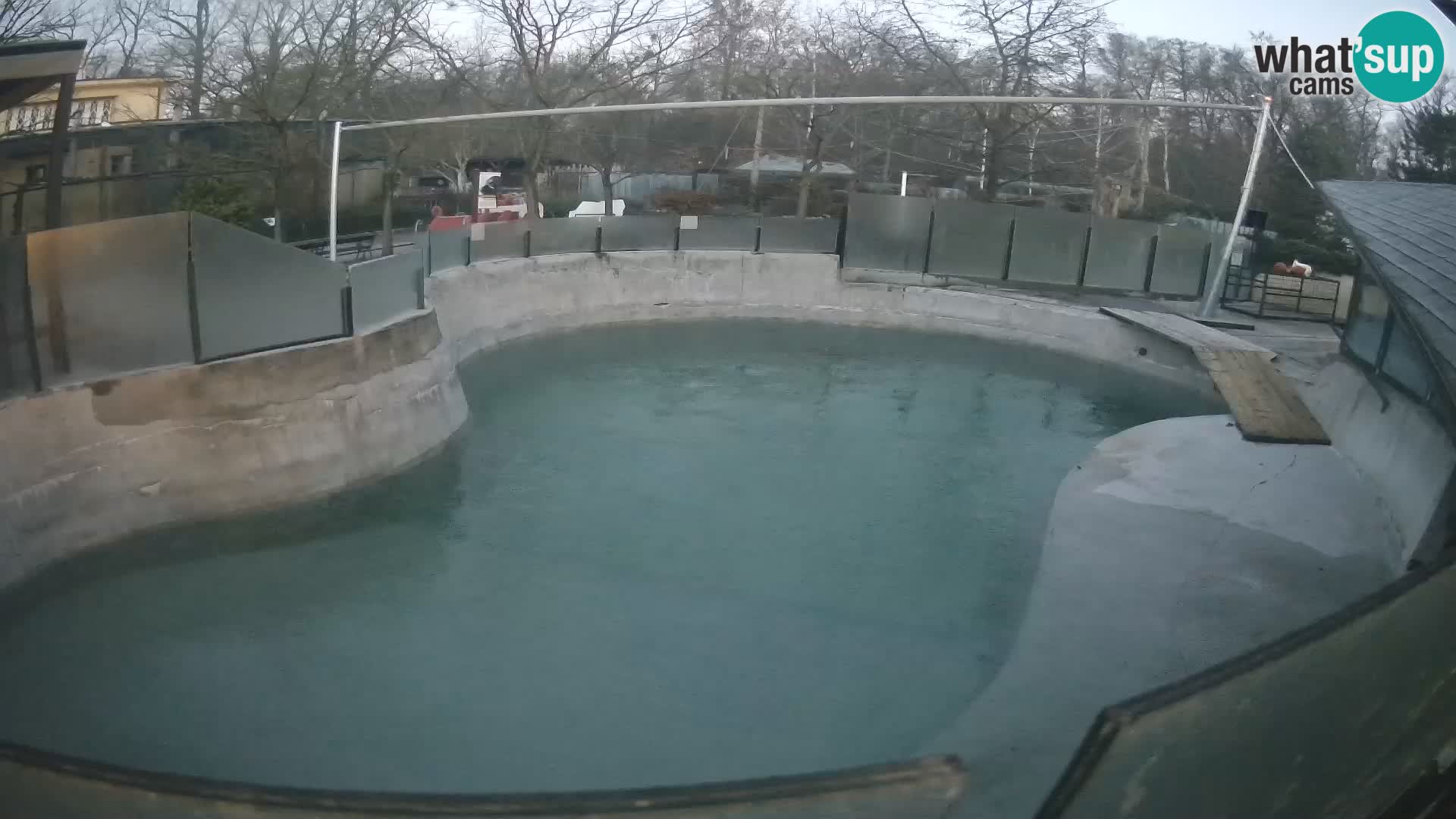 Zoo Zagreb – Otarie de Californie