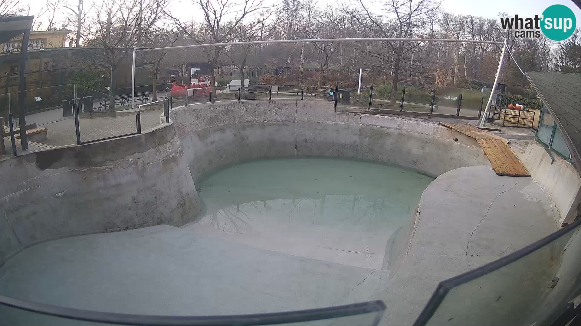 Zoo Zagreb – Kalifornischer Seelöwe