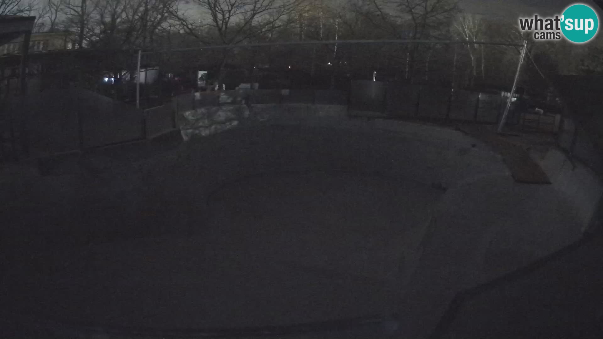 Zoo Zagreb – Kalifornijski morski lav