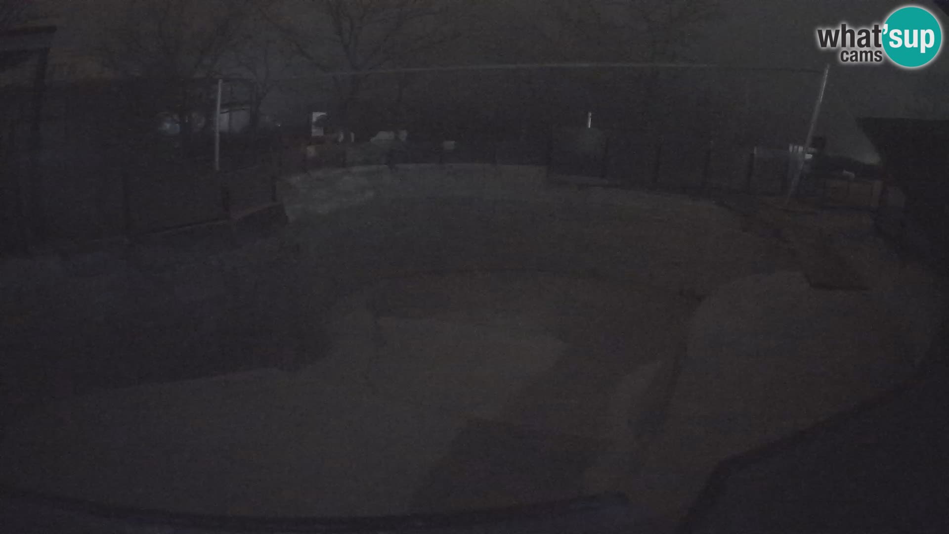 Zoo Zagreb –  León marino de California