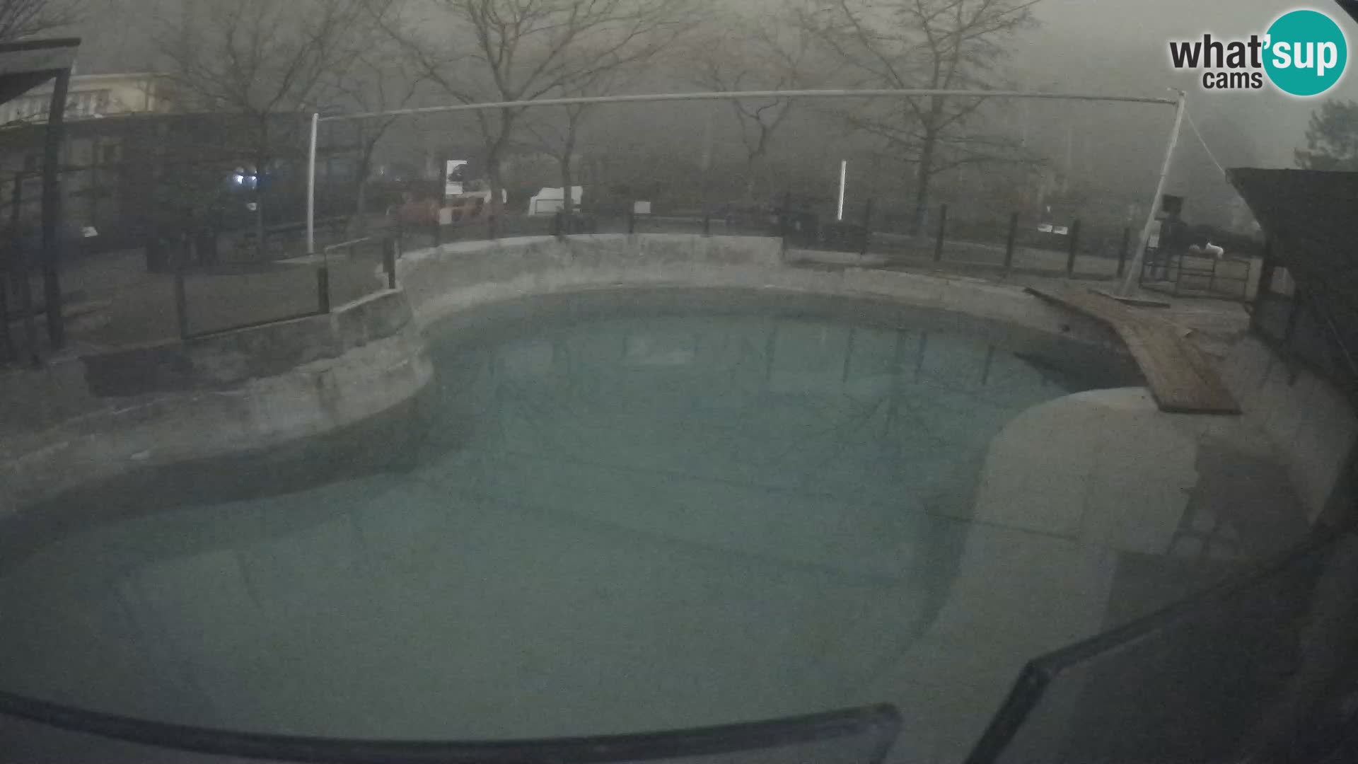 Zoo Zagreb – Kalifornijski morski lev