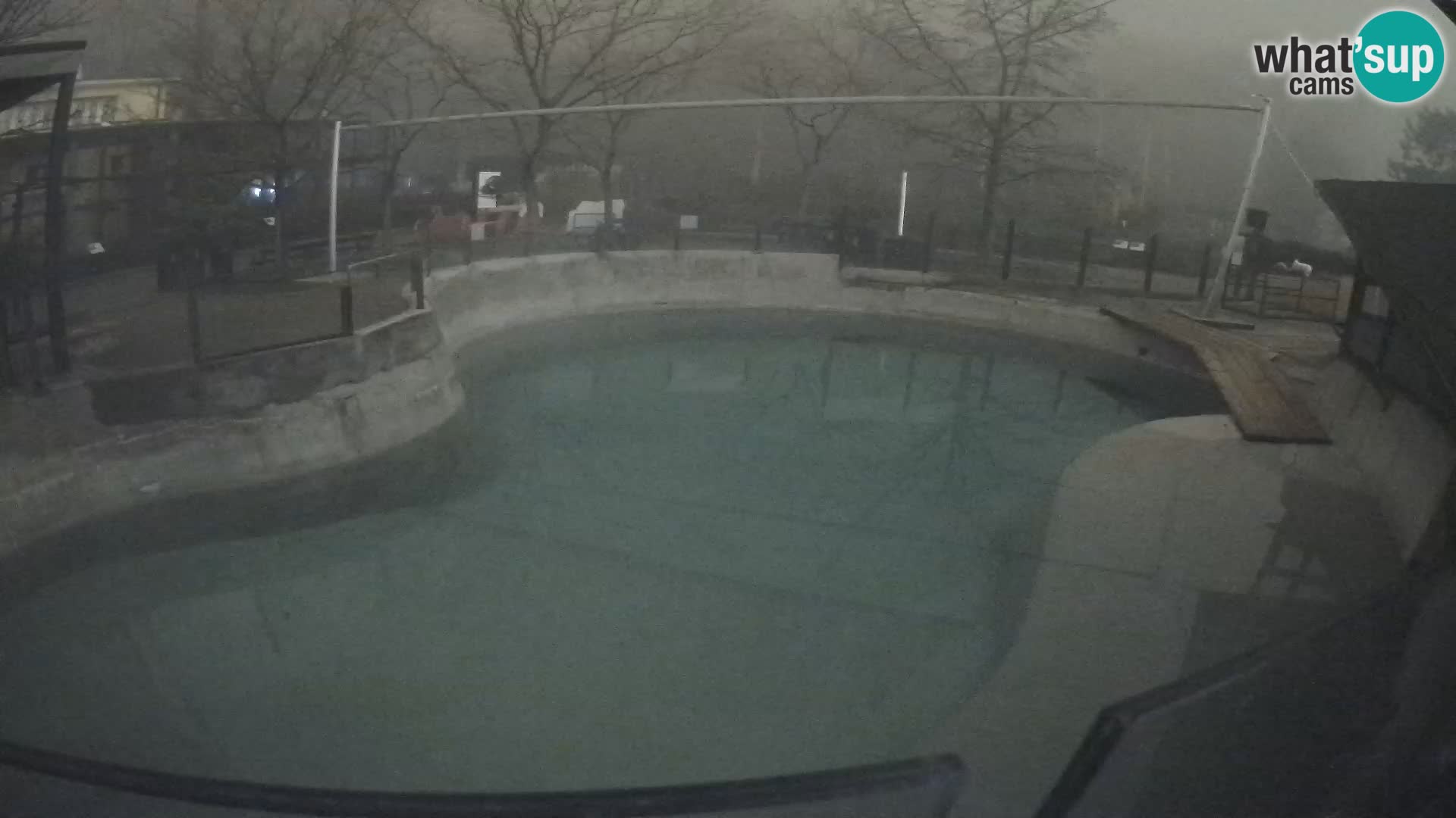 Zoo Zagreb – Otarie de Californie