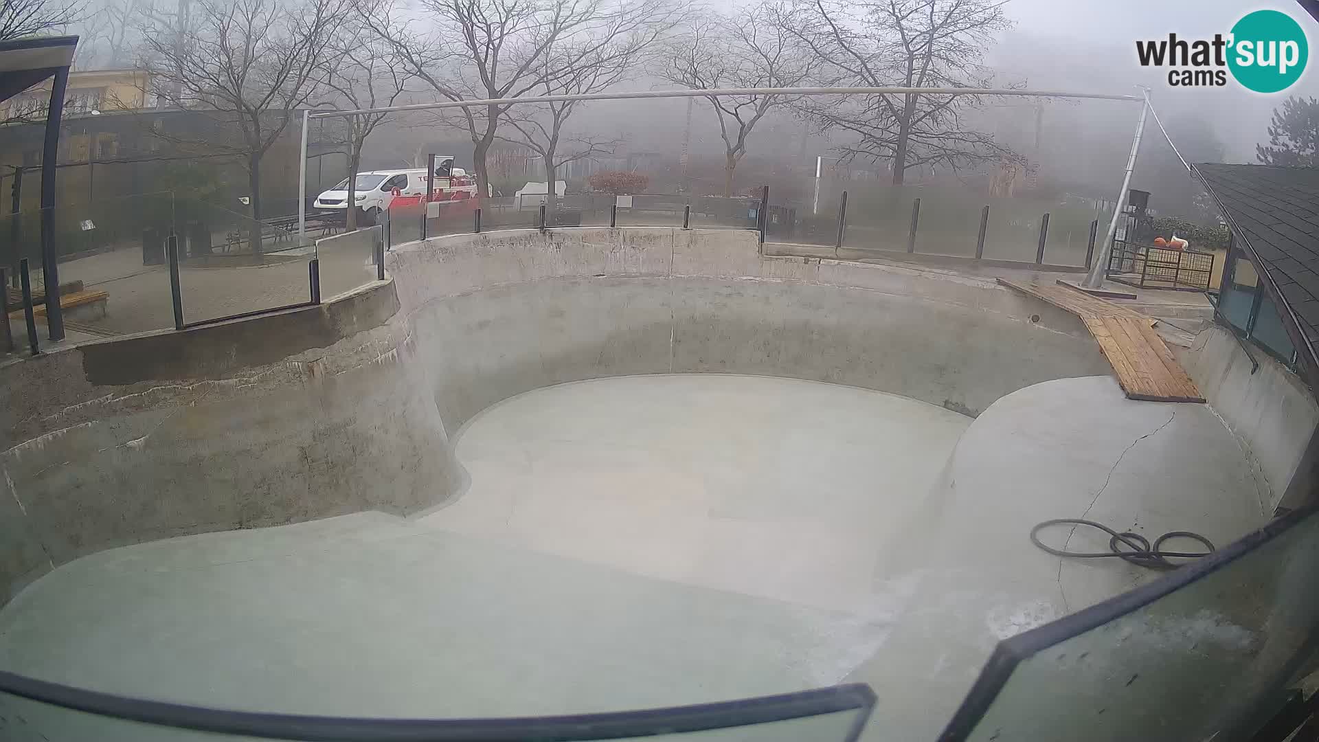 Zoo Zagreb – California Sea Lion