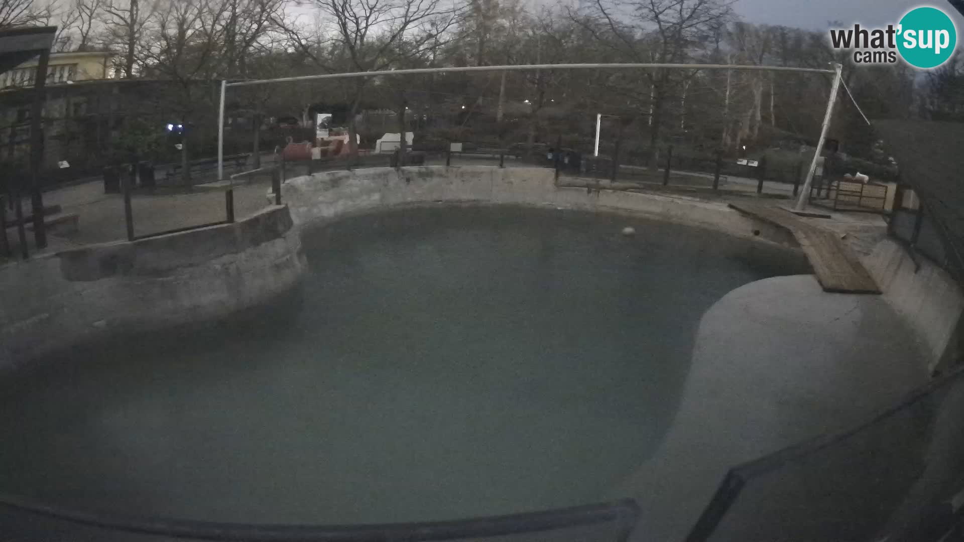 Zoo Zagreb –  León marino de California