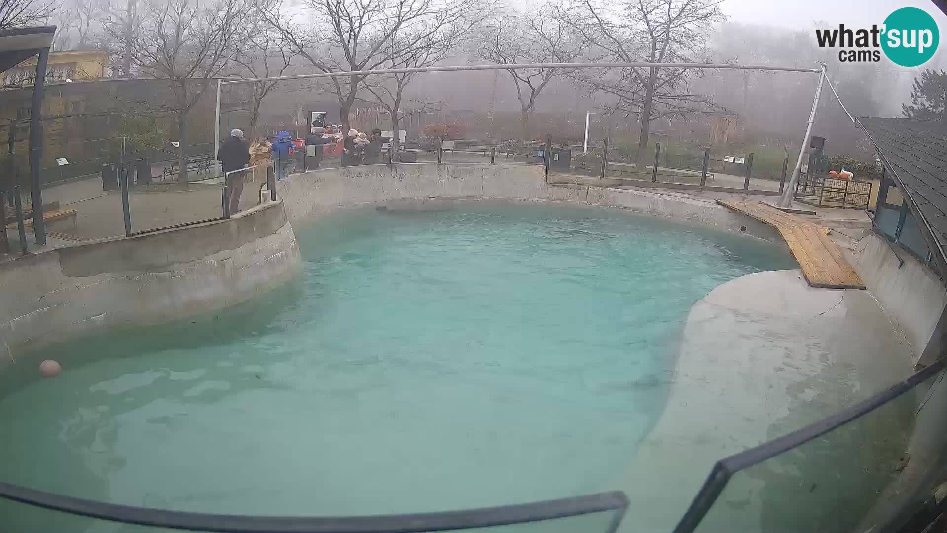 Zoo Zagreb – Kalifornijski morski lav