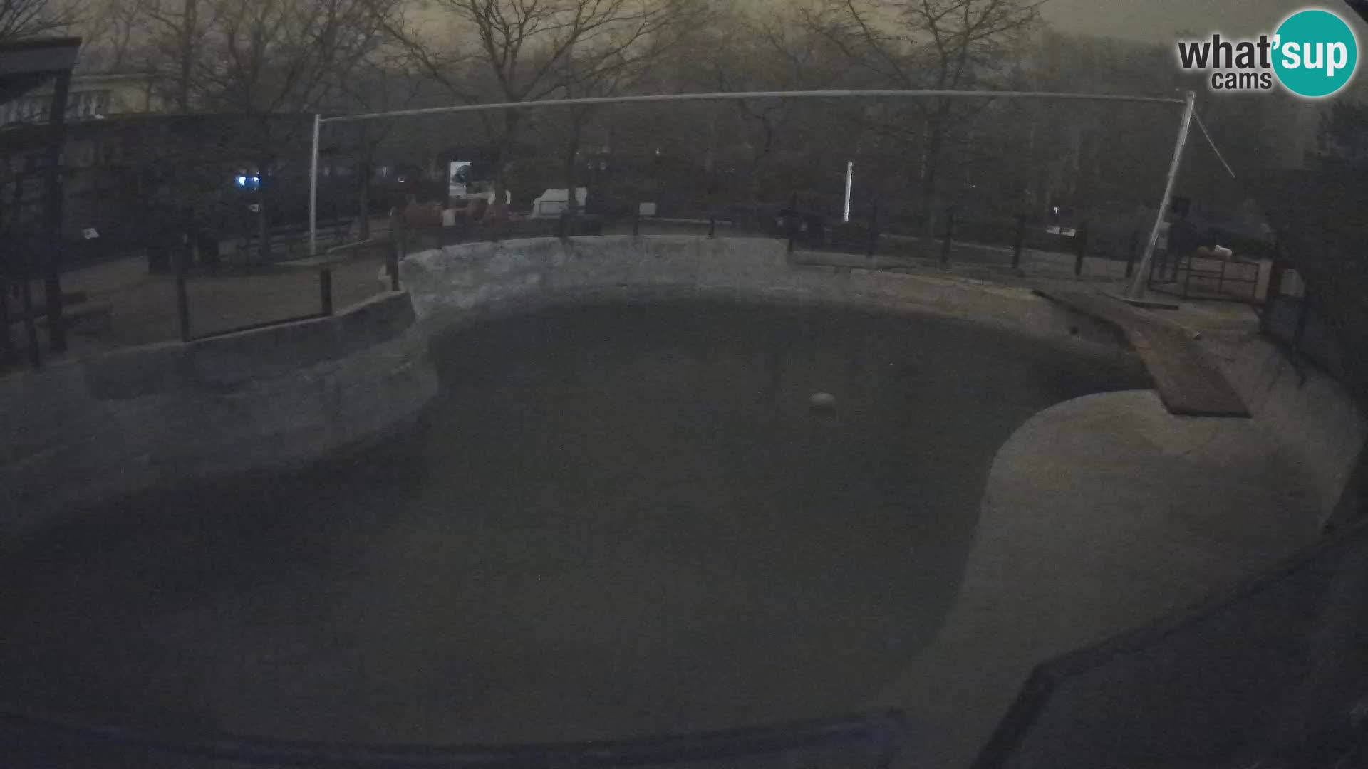 Zoo Zagreb – Kalifornijski morski lav