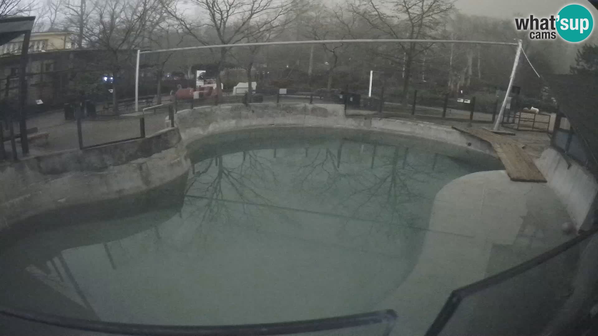 Zoo Zagreb – Kalifornijski morski lav