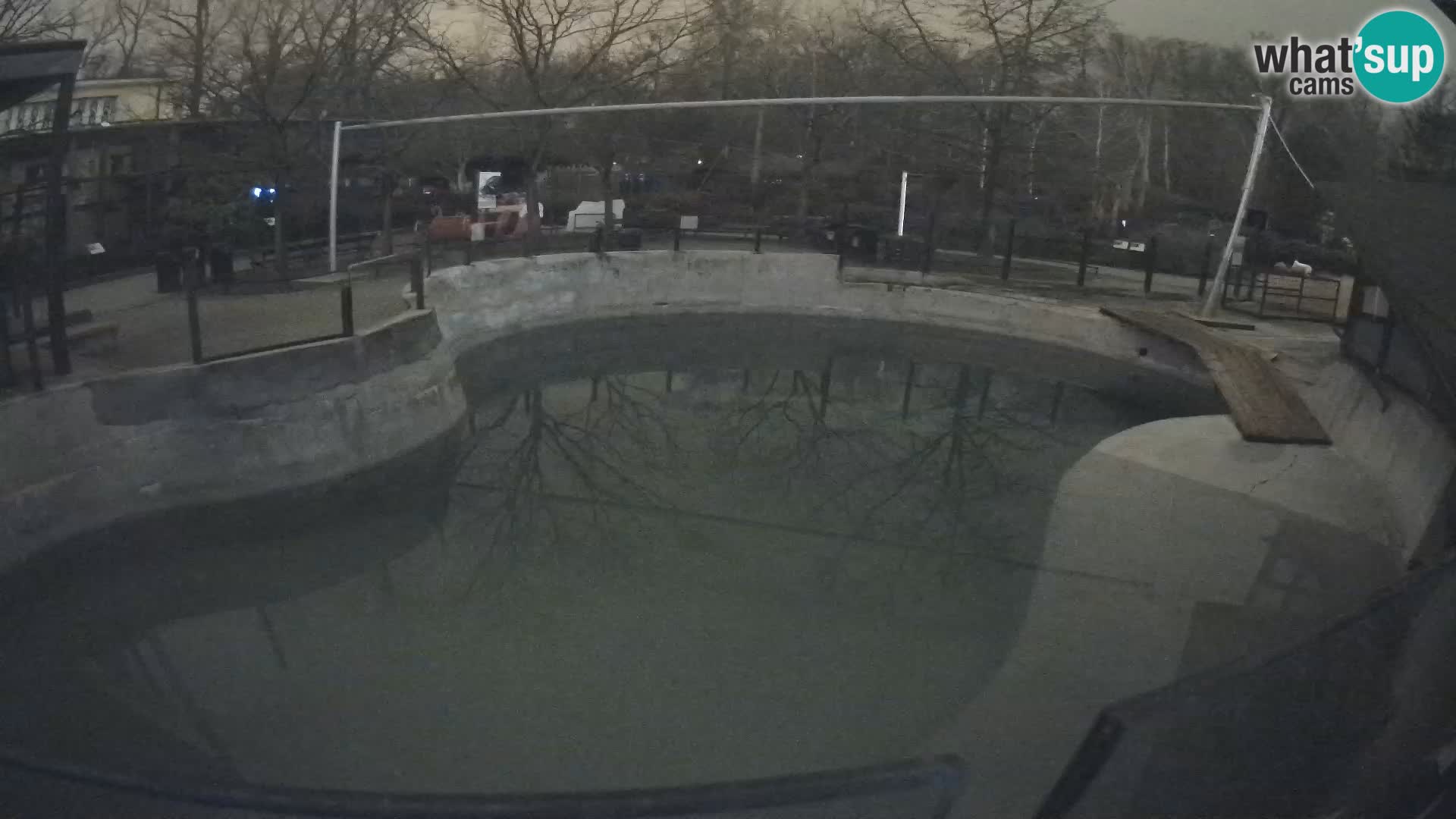 Zoo Zagreb – Otarie de Californie