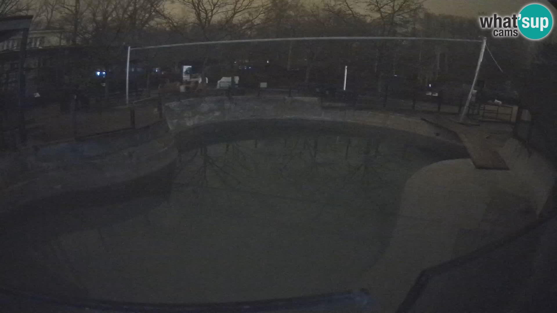 Zoo Zagreb – Kalifornijski morski lav