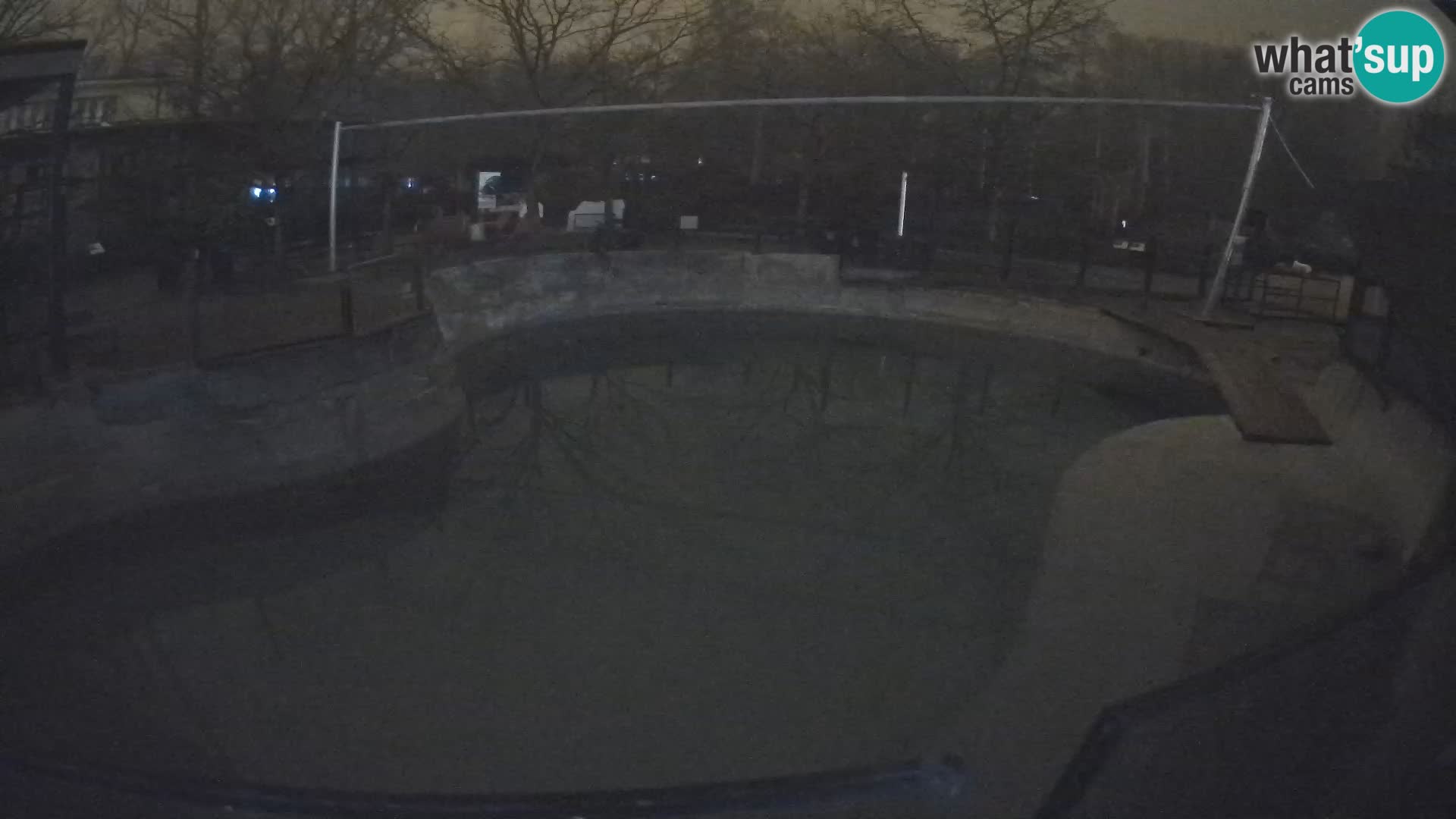 Zoo Zagreb – Kalifornijski morski lav