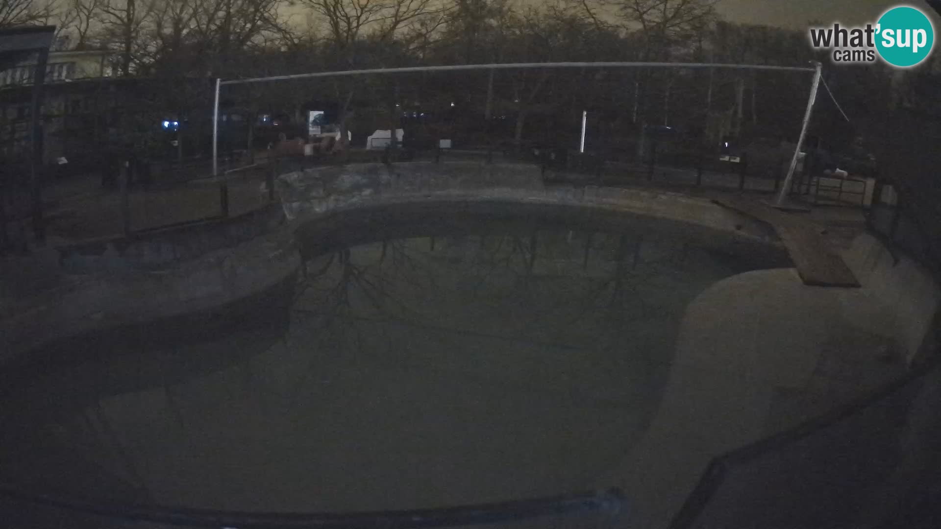 Zoo Zagreb – Otarie de Californie