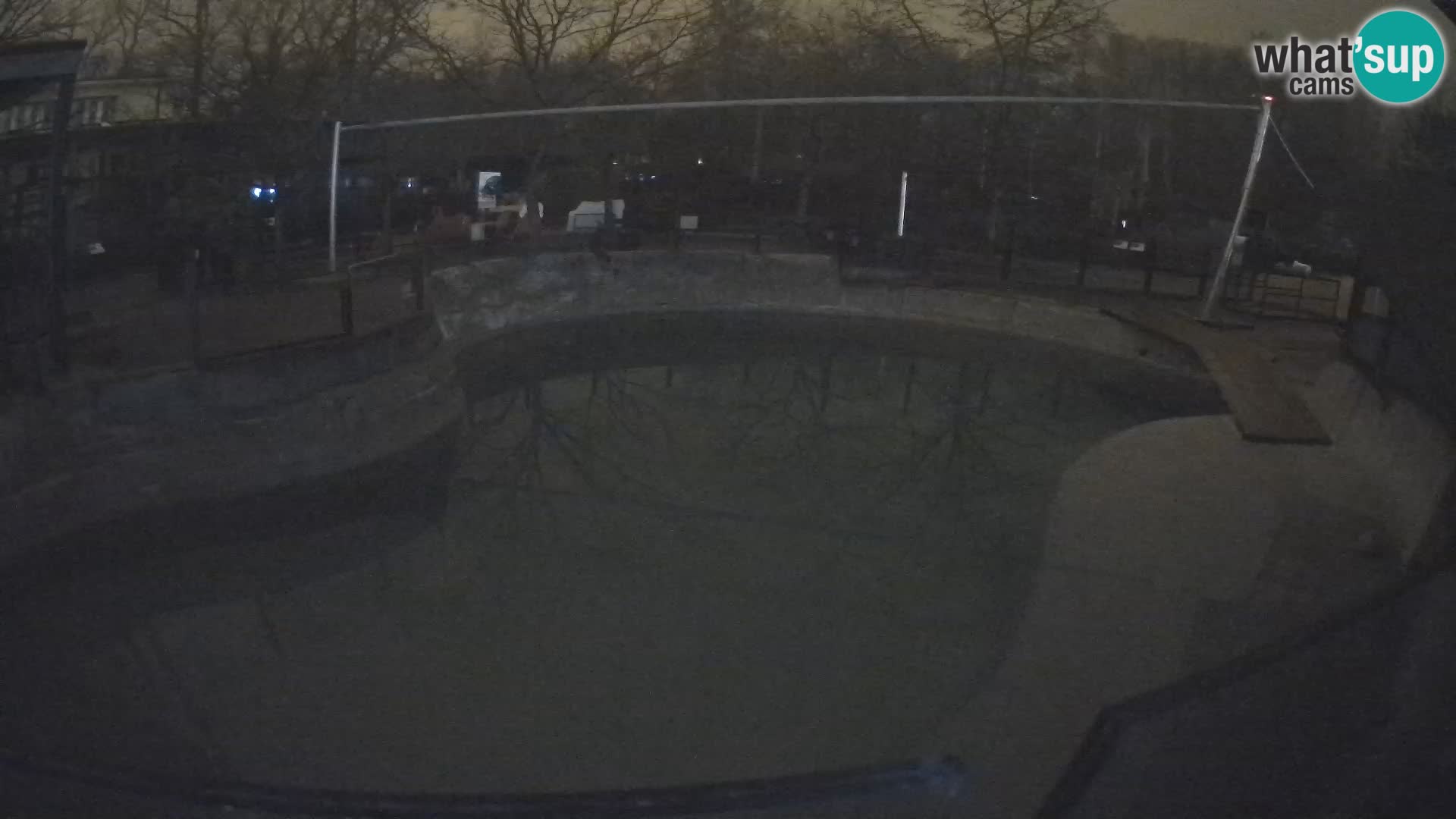 Zoo Zagreb – Otarie de Californie