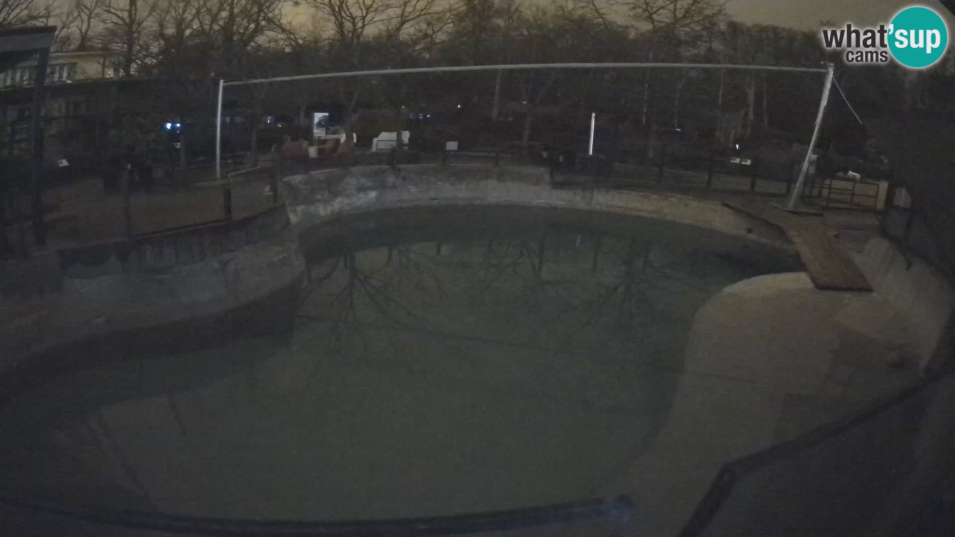 Zoo Zagreb –  León marino de California