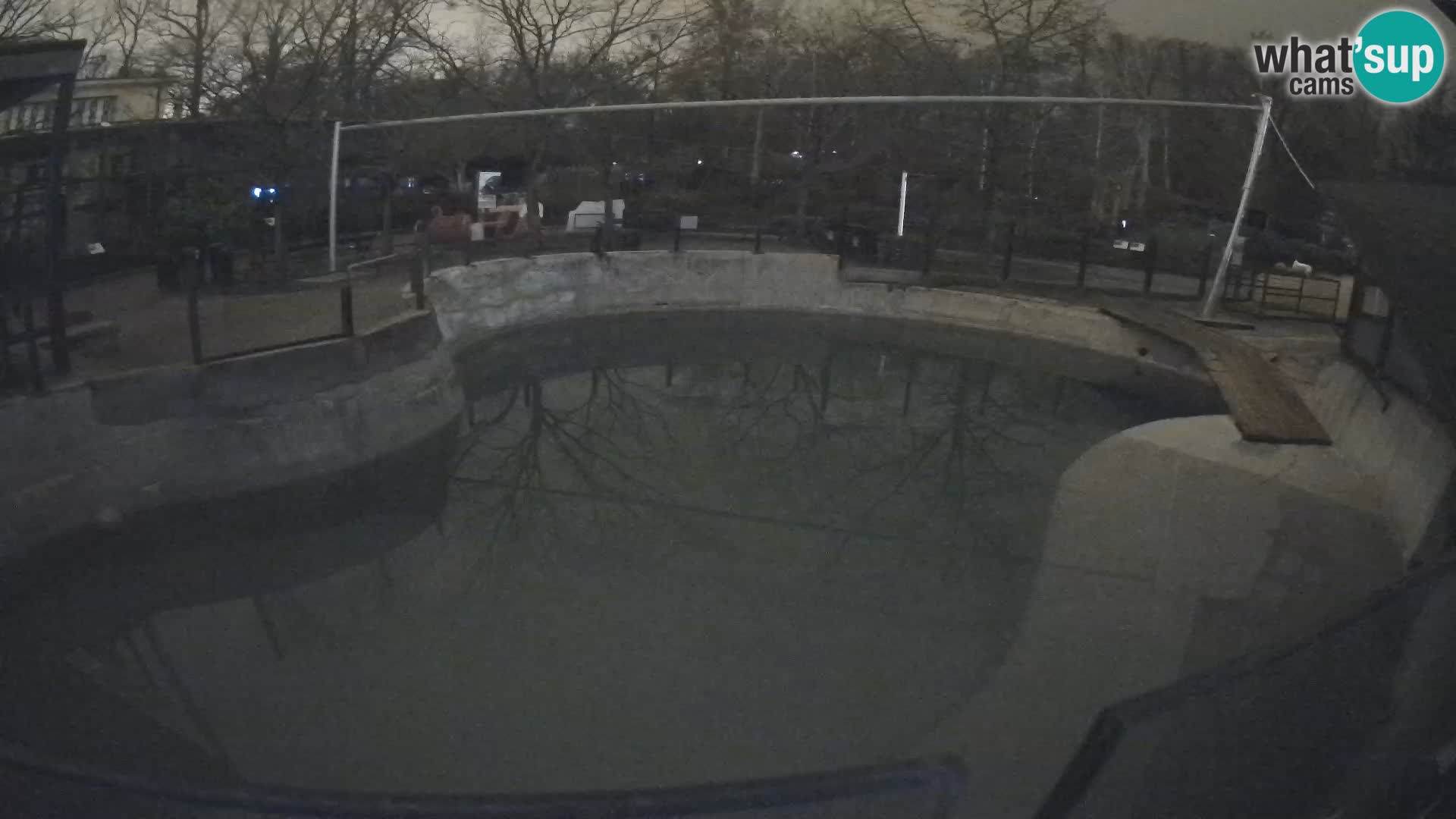 Zoo Zagreb – Kalifornijski morski lav