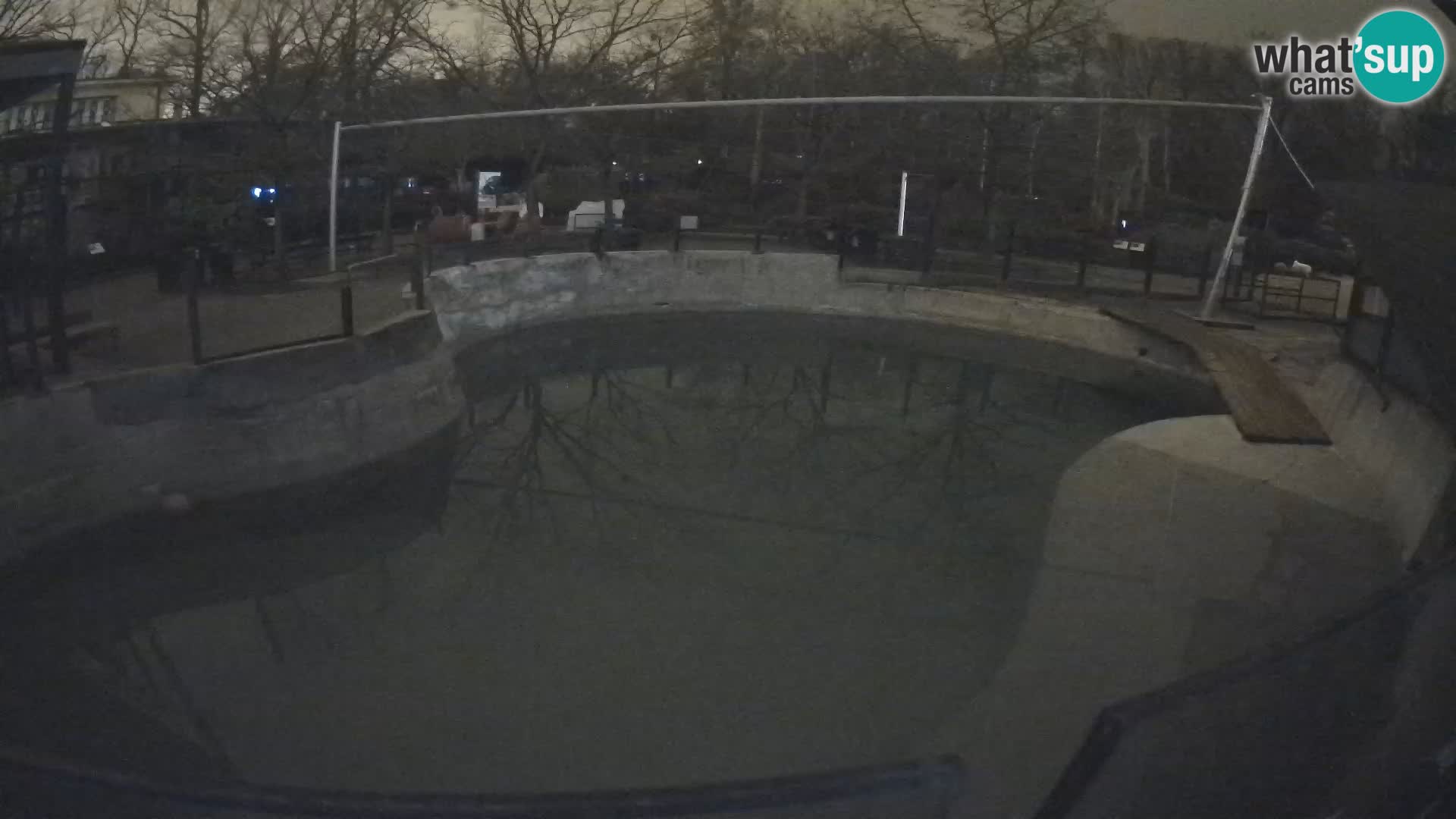 Zoo Zagreb – Kalifornijski morski lav