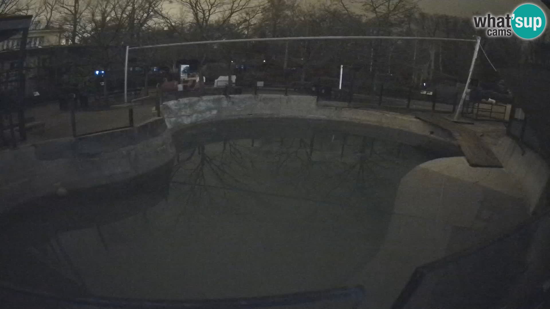 Zoo Zagreb – Kalifornijski morski lav