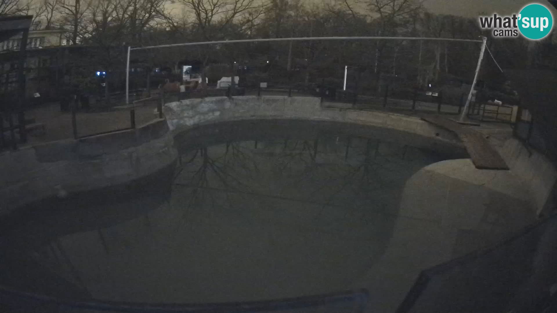 Zoo Zagreb – Kalifornijski morski lav