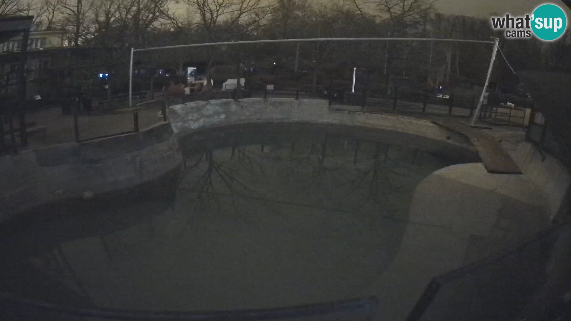 Zoo Zagreb – Otarie de Californie