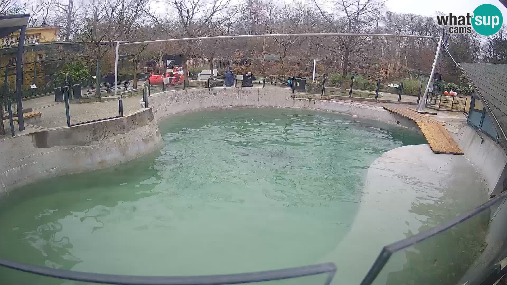 Zoo Zagreb – Kalifornijski morski lav