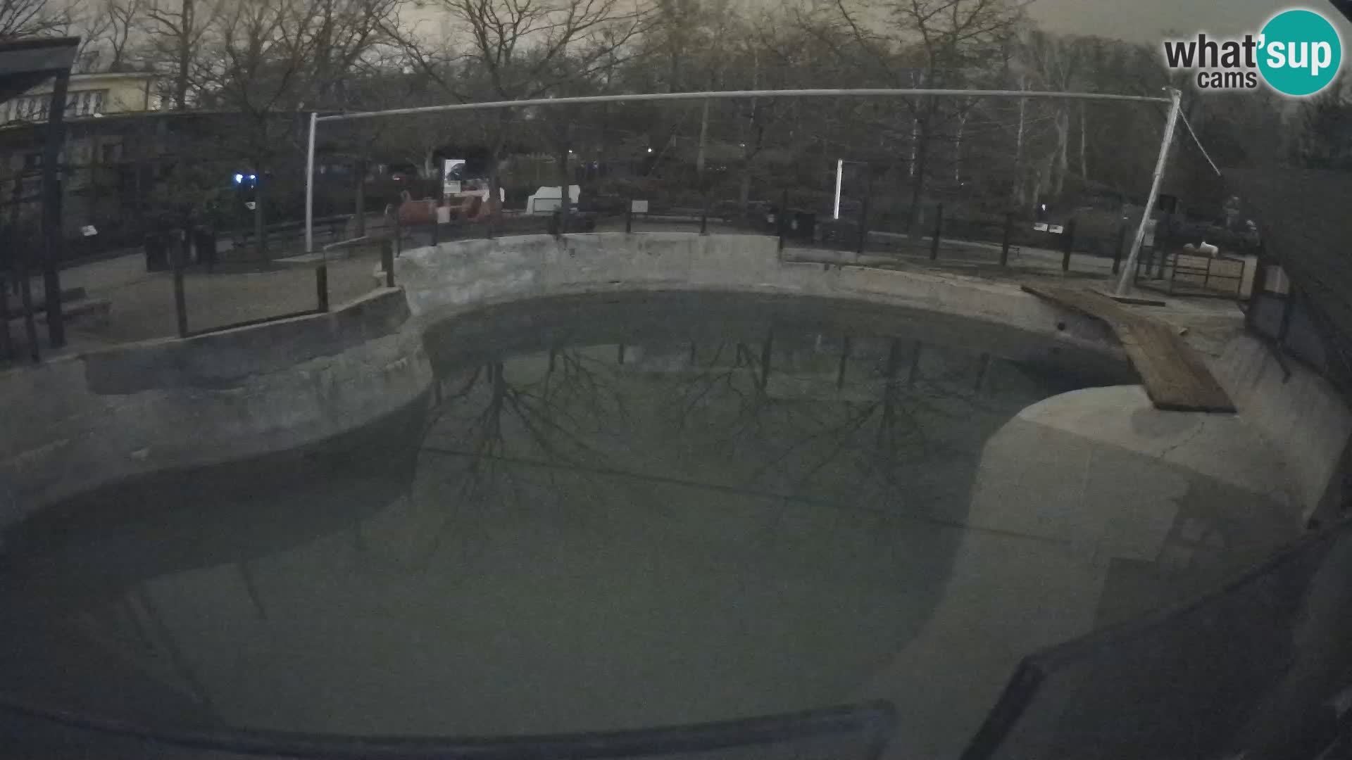 Zoo Zagreb – Otarie de Californie