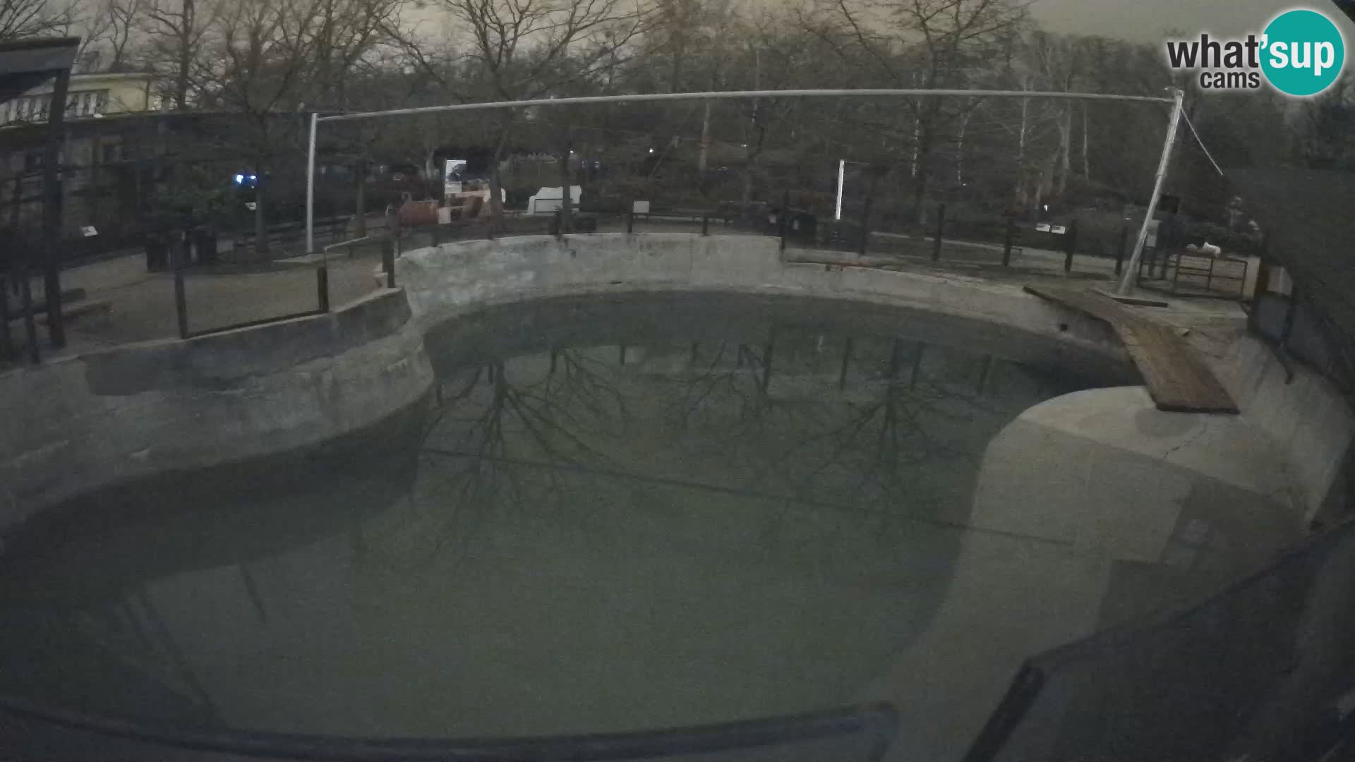 Zoo Zagreb – Otarie de Californie