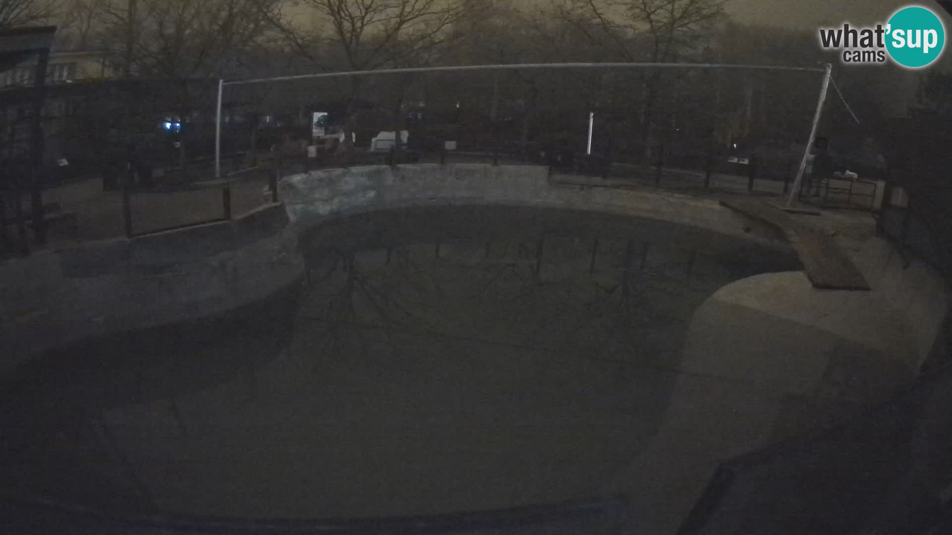 Zoo Zagreb –  León marino de California