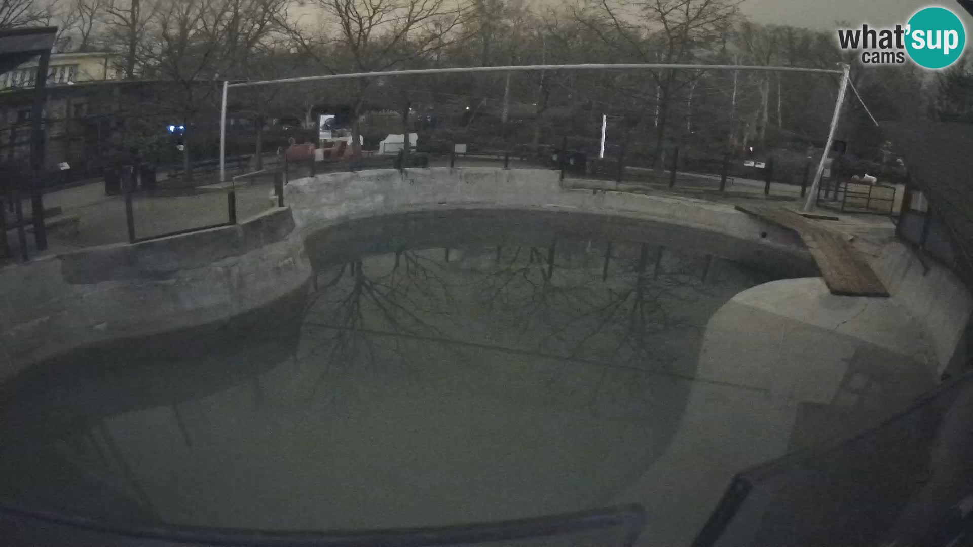 Zoo Zagreb – Kalifornijski morski lav