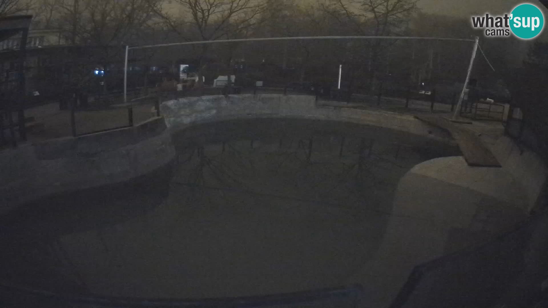 Zoo Zagreb – Kalifornijski morski lav